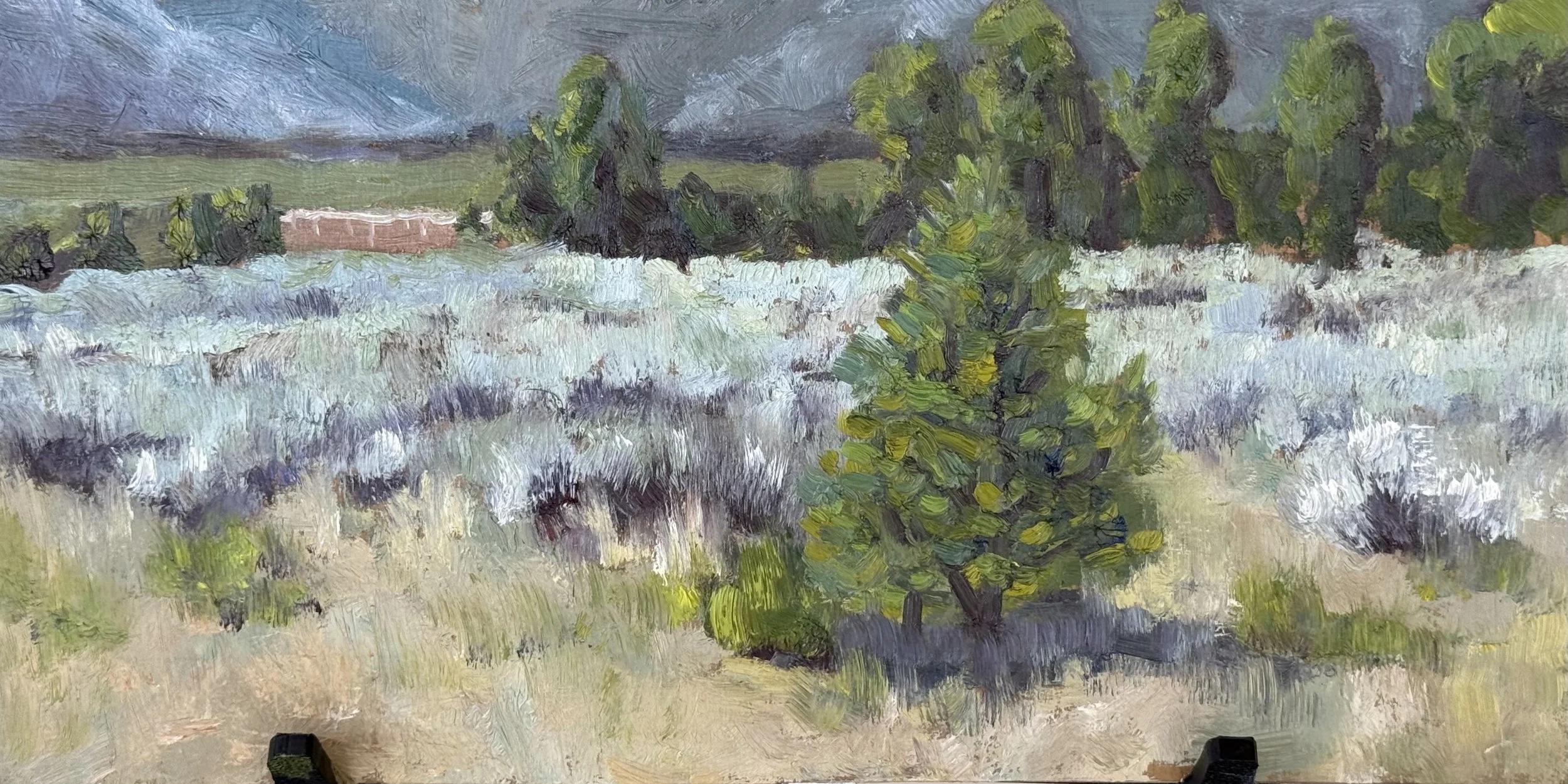 David Schulze 6.jpeg