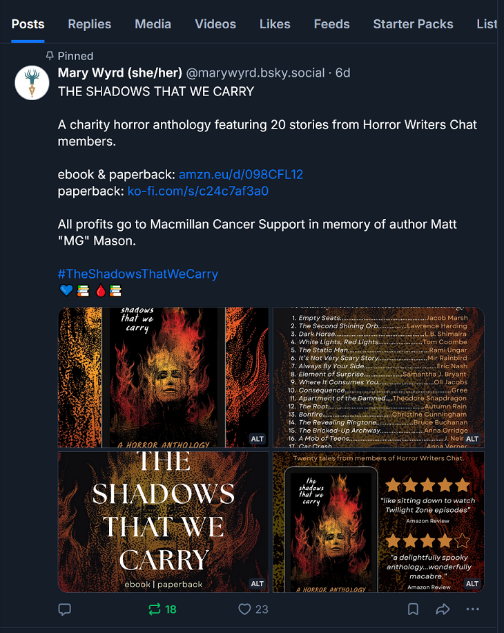 Screen shot from Bluesky showing a post by Mary Wyrd with the book promo graphics.