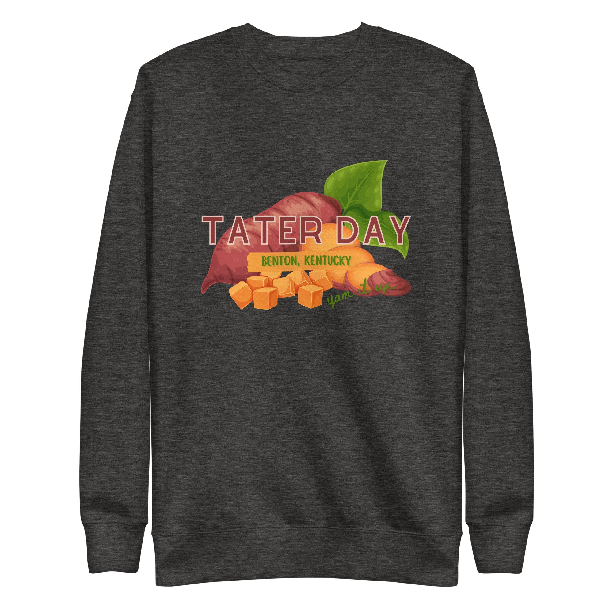 unisex-premium-sweatshirt-charcoal-heather-front-65fb946c84a6f.jpg