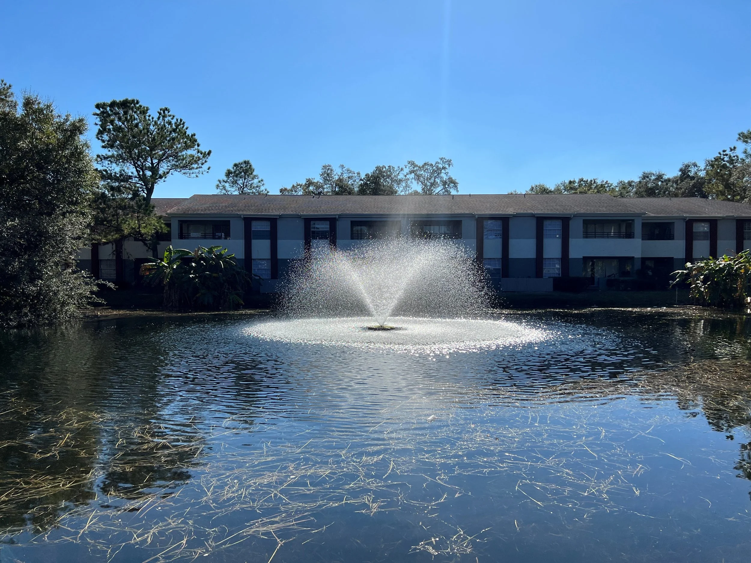 The Palms at Sand Lake