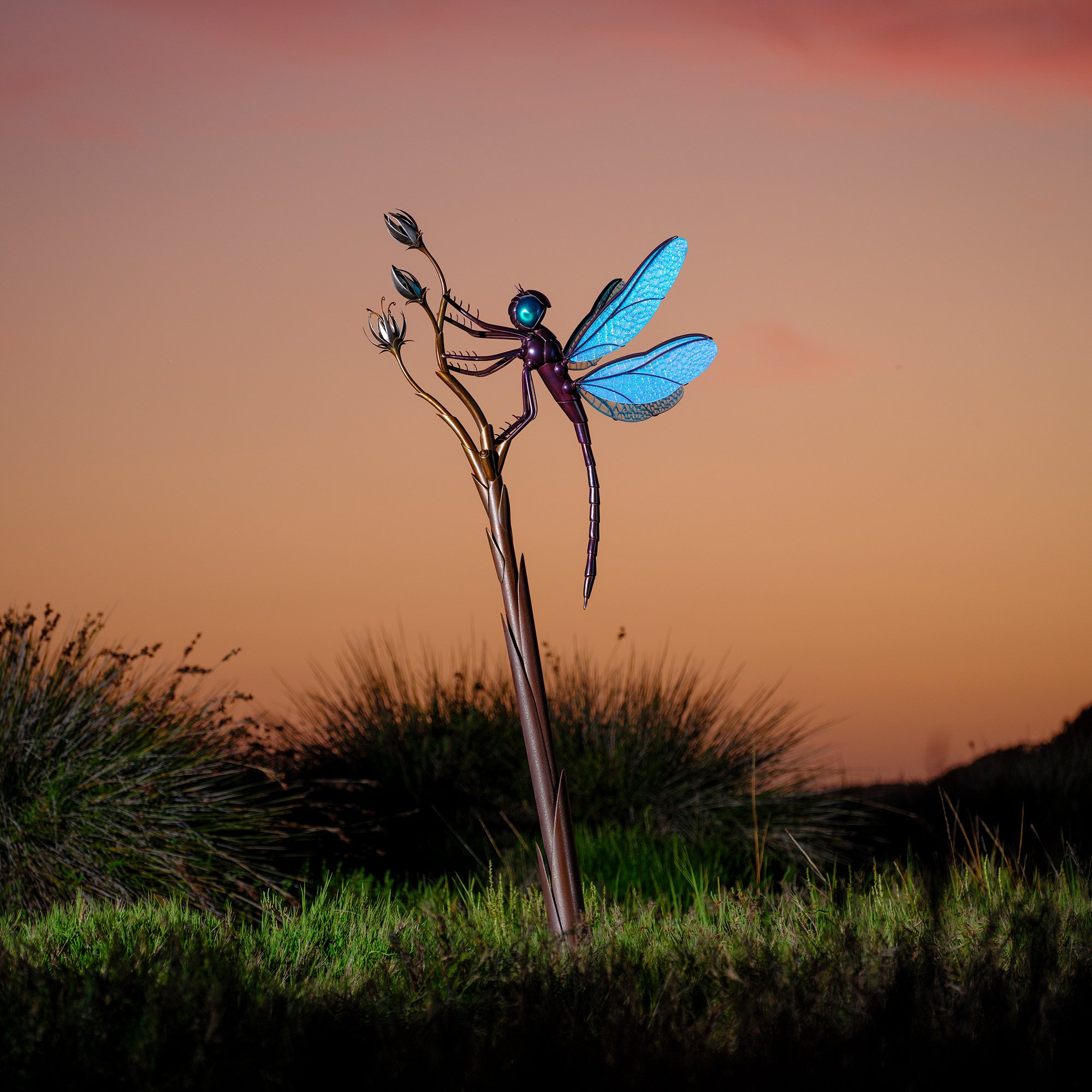 Dragonfly on stem. San Diego sculptor Benjamin Lavender creates stunning one of kind sculptures based on nature then collaborates with photographer JAMES HALFACRE and allows him to create stunning photographs. 