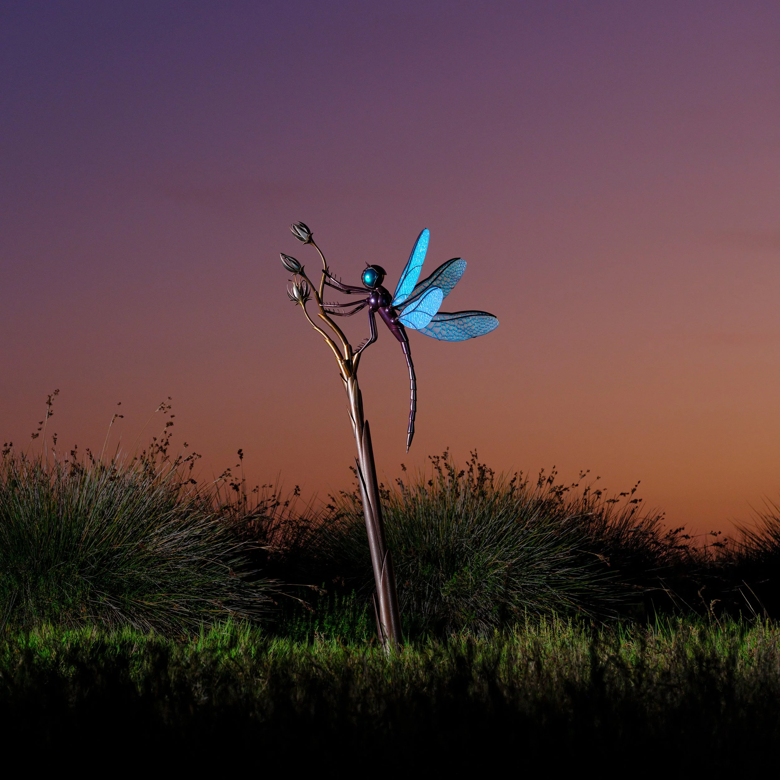 Dragonfly on stem San Diego sculptor Benjamin Lavender creates stunning one of kind sculptures based on nature then collaborates with photographer JAMES HALFACRE and allows him to create stunning photographs. 