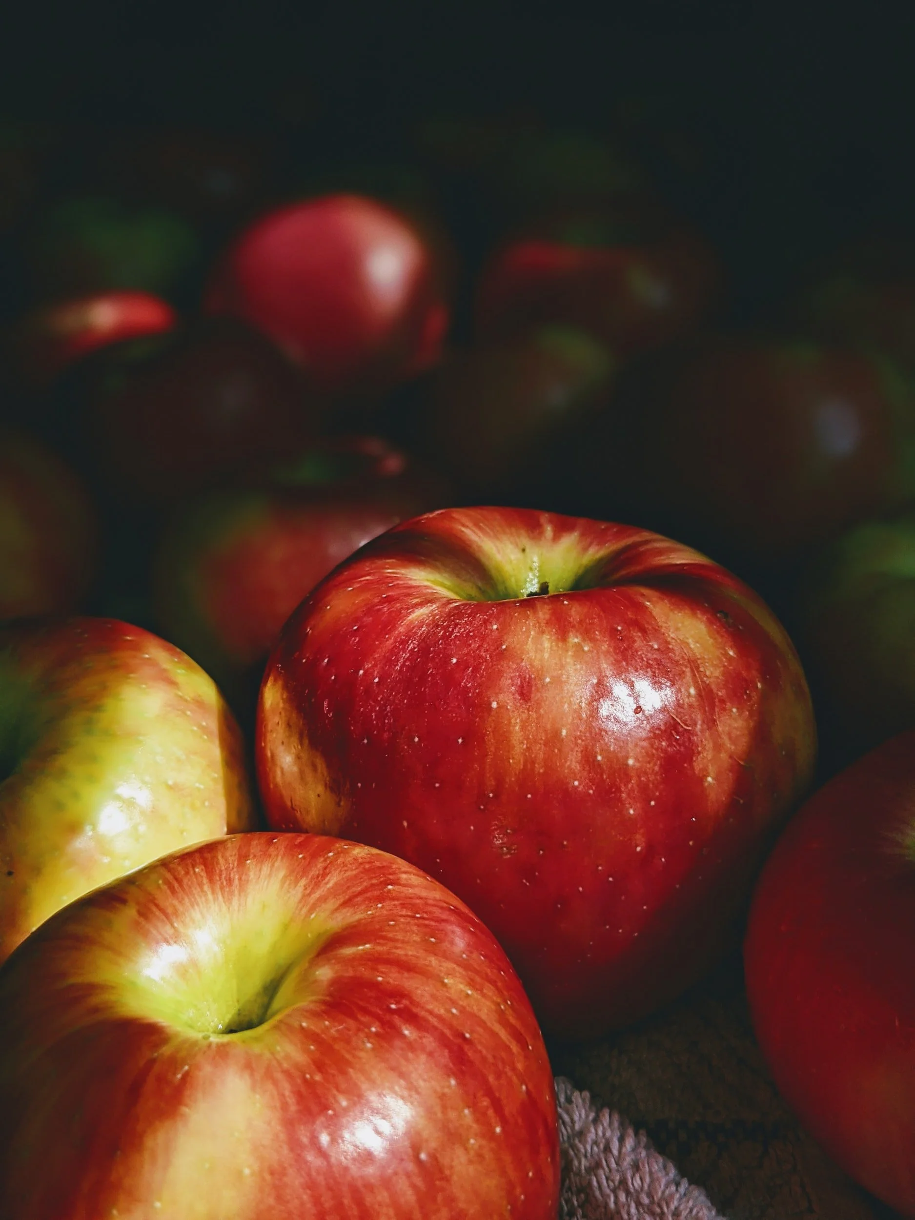 Cinnamon Apple Chips