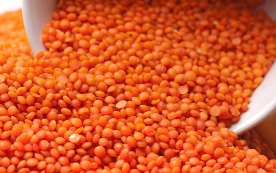 Tomato Lentils