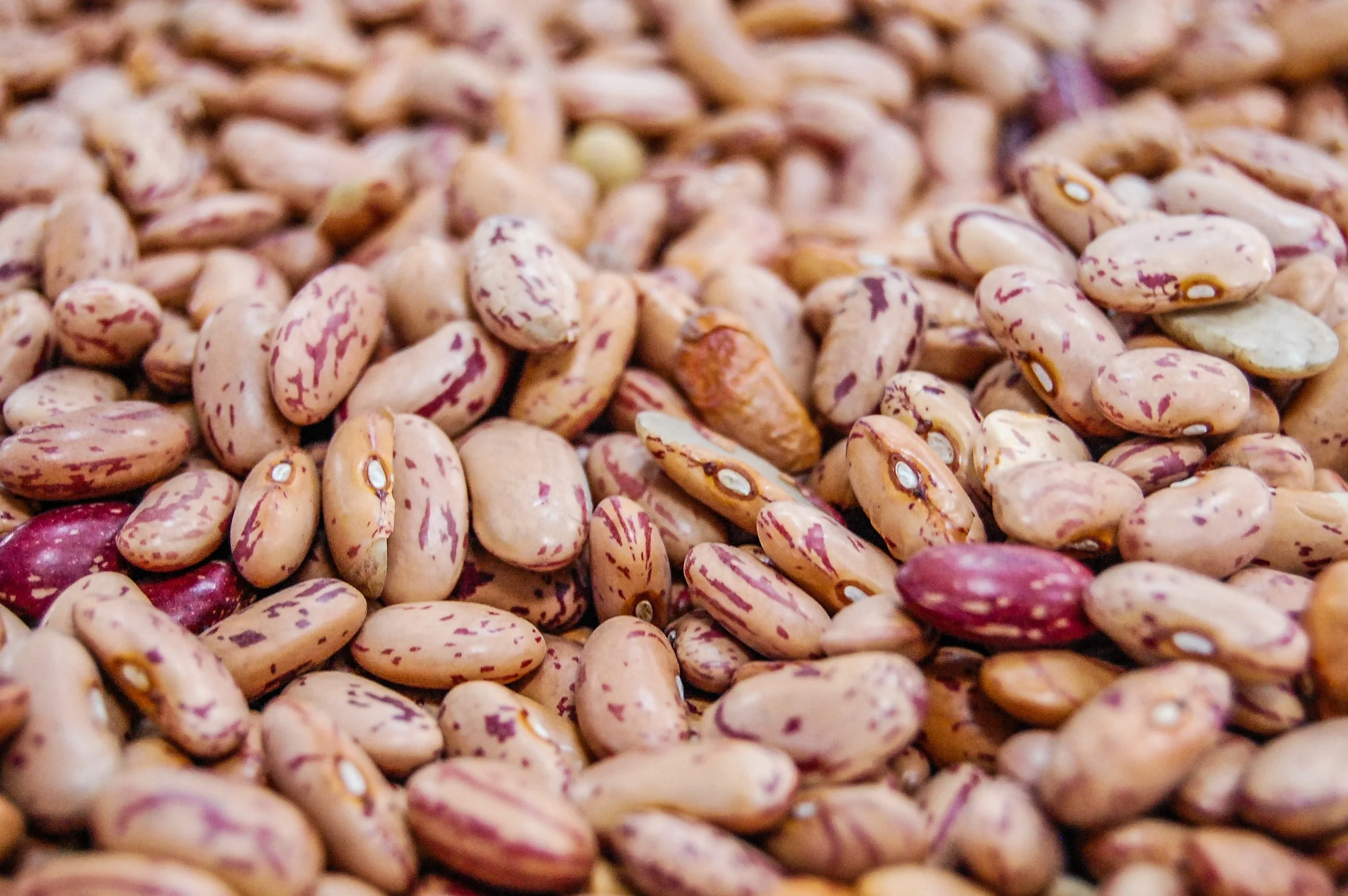 Kate’s Pot O’ Spanish Beans