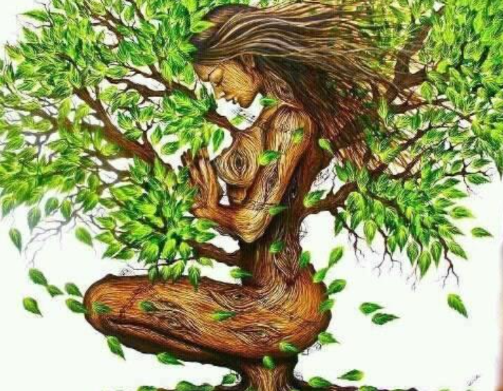Stillness &amp; Meditation (aka Taming Our Monkey Minds)