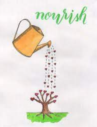 Cleanse &amp; Nourish