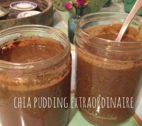 Sacha’s Extraordinary Chia Pudding