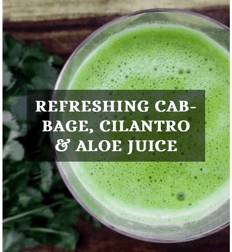 CABBAGE, CILANTRO, ALOE JUICE
