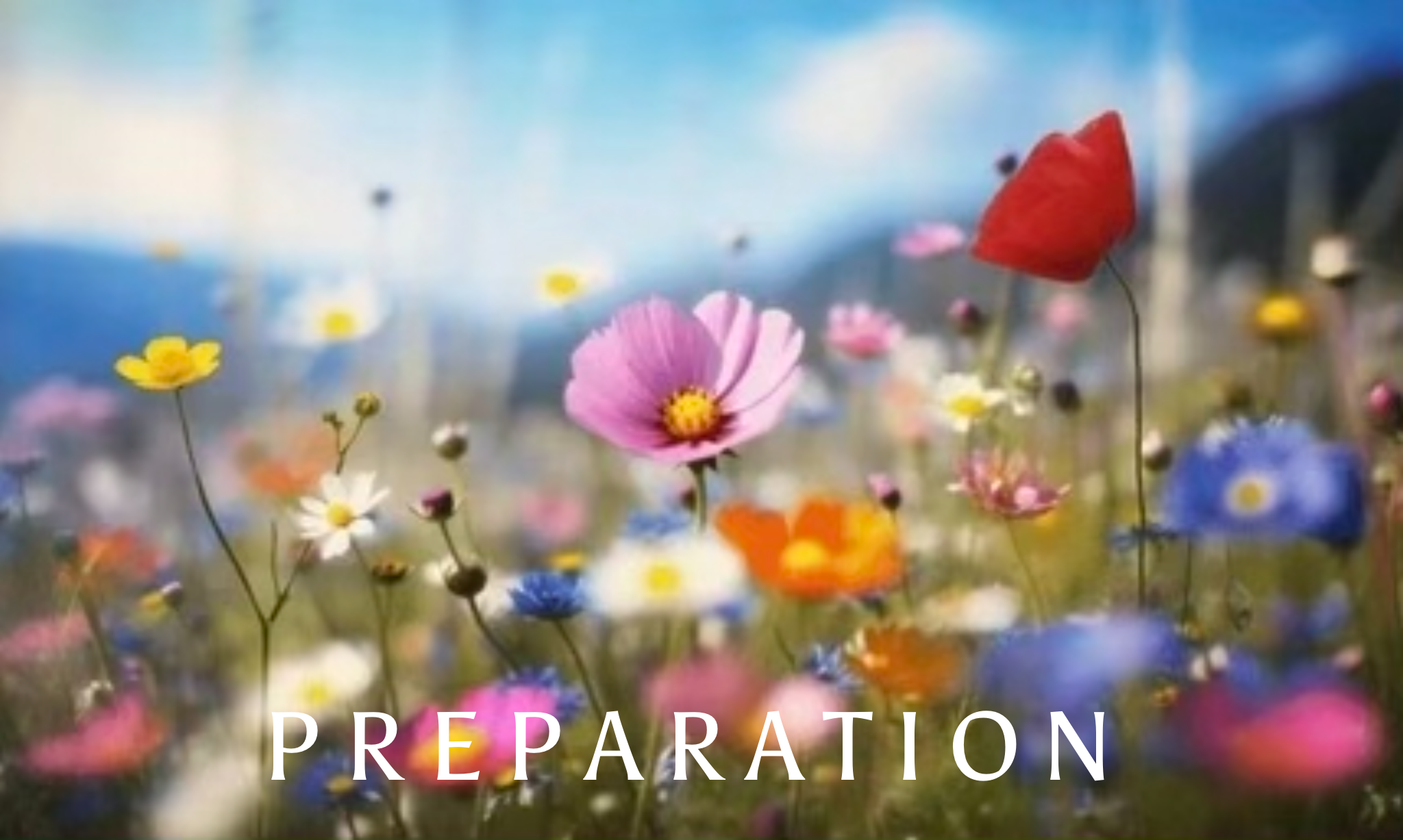Email #2 - Getting Started