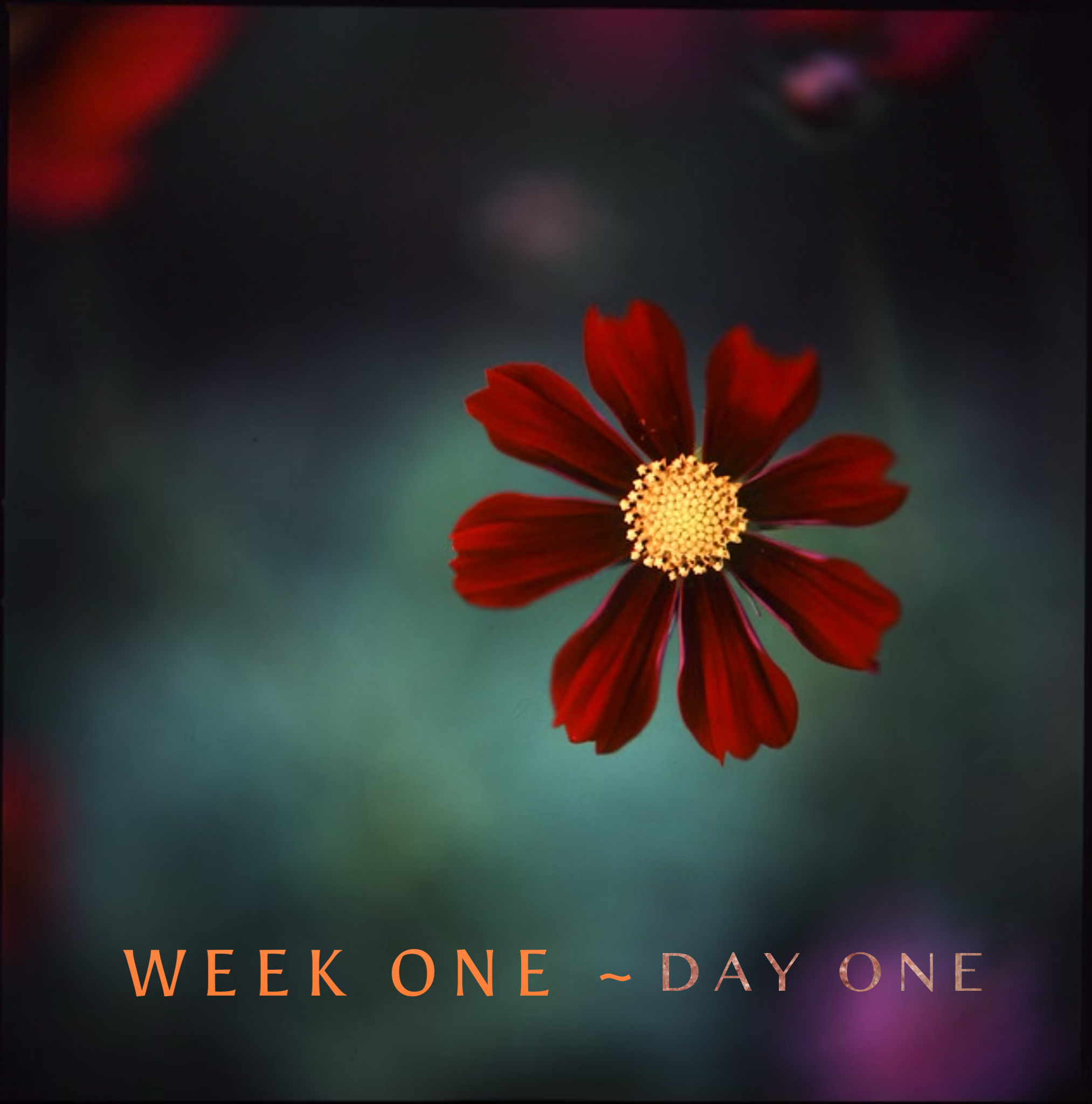 Monday - Week 1