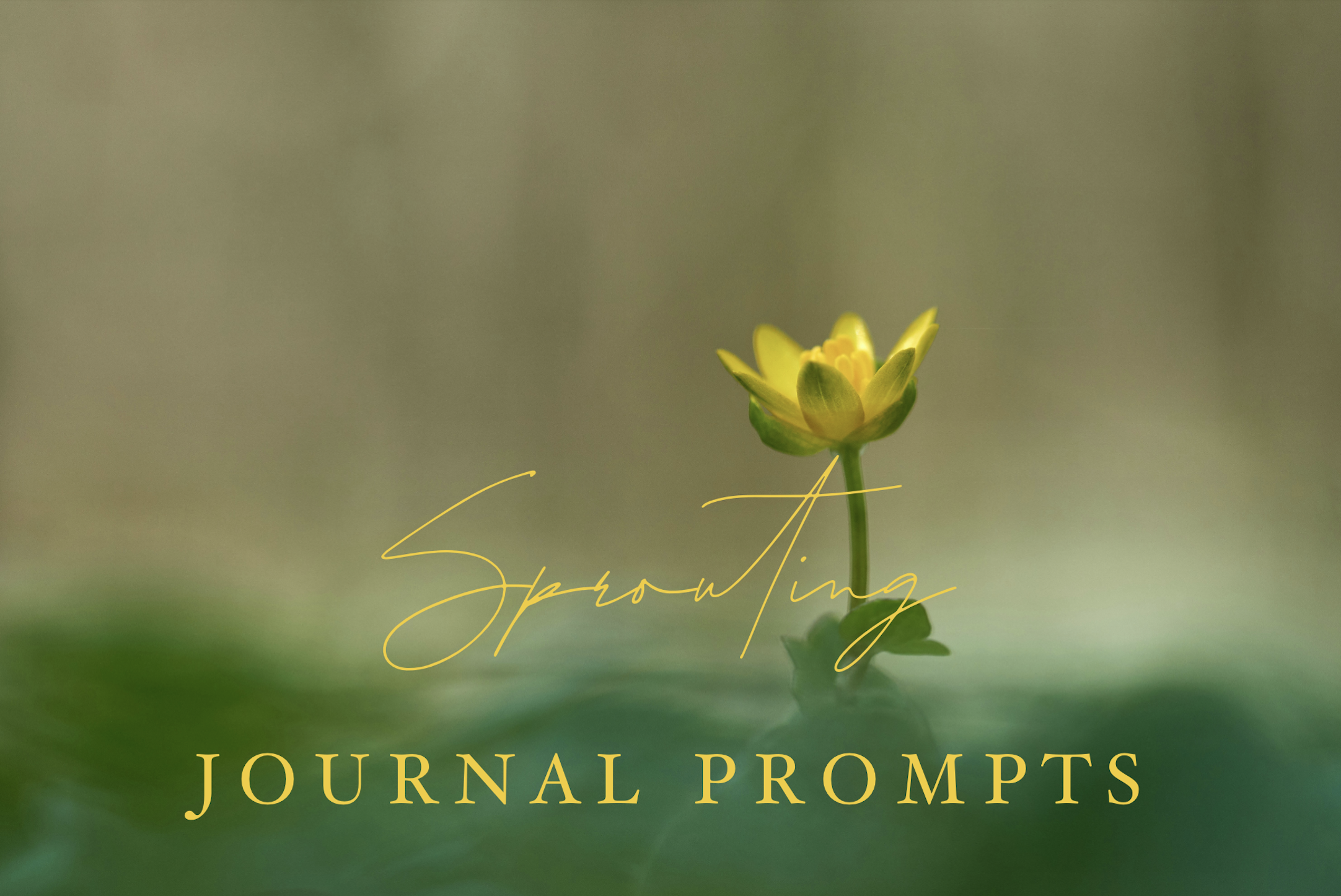 Sprouting PROMPTS