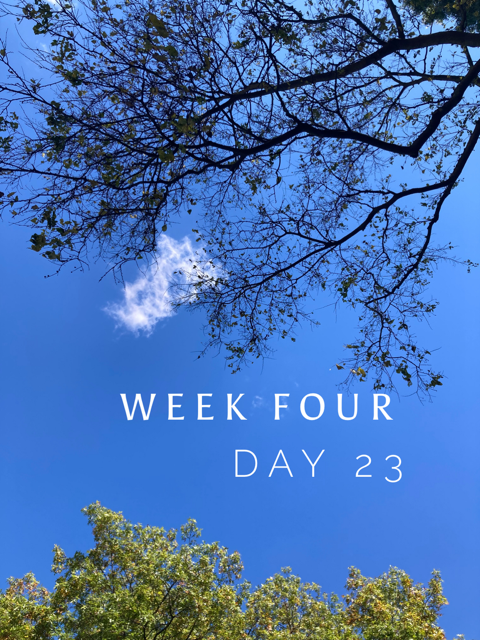 Week 4, Day 23