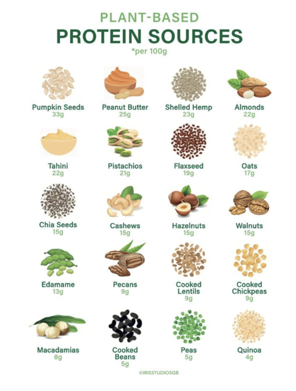 Protein