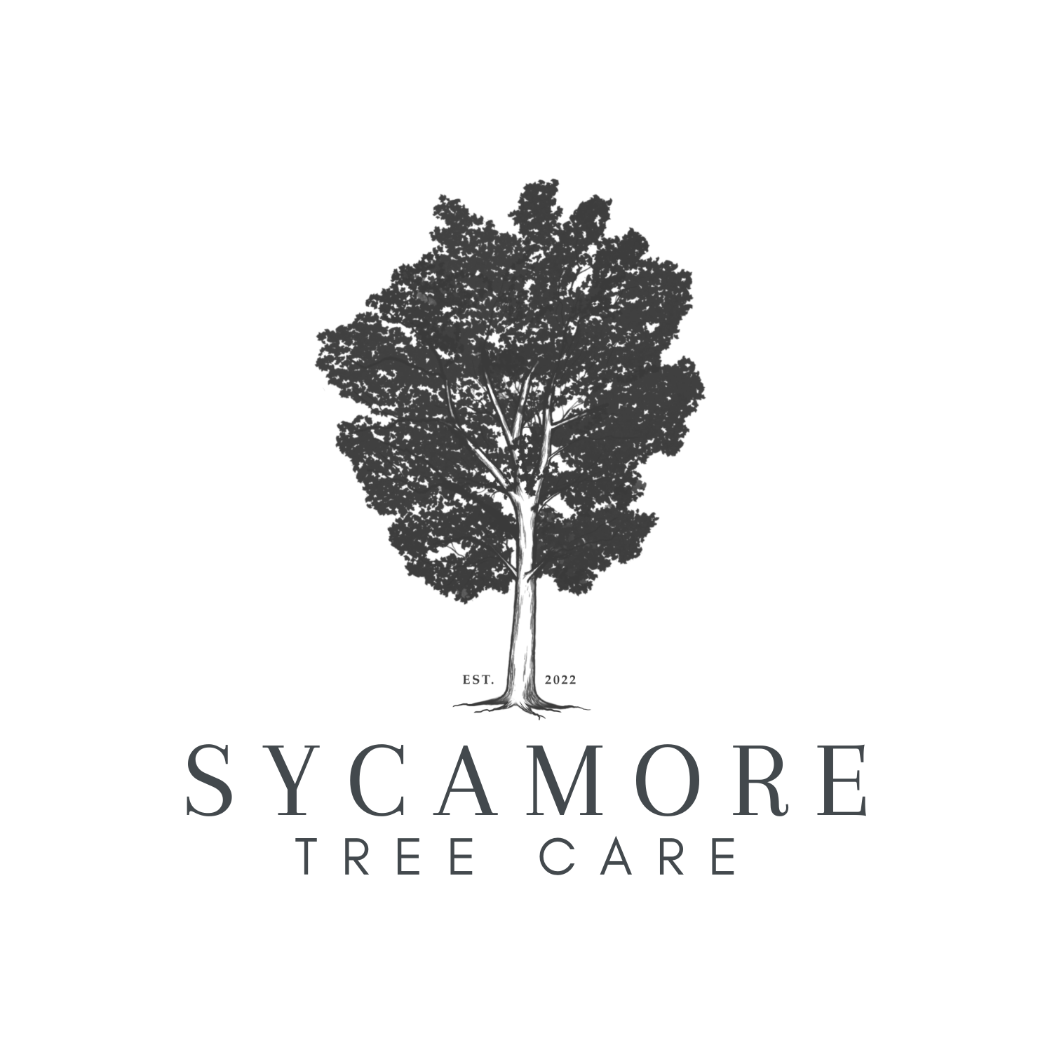 Shaping — Sycamore Tree Care