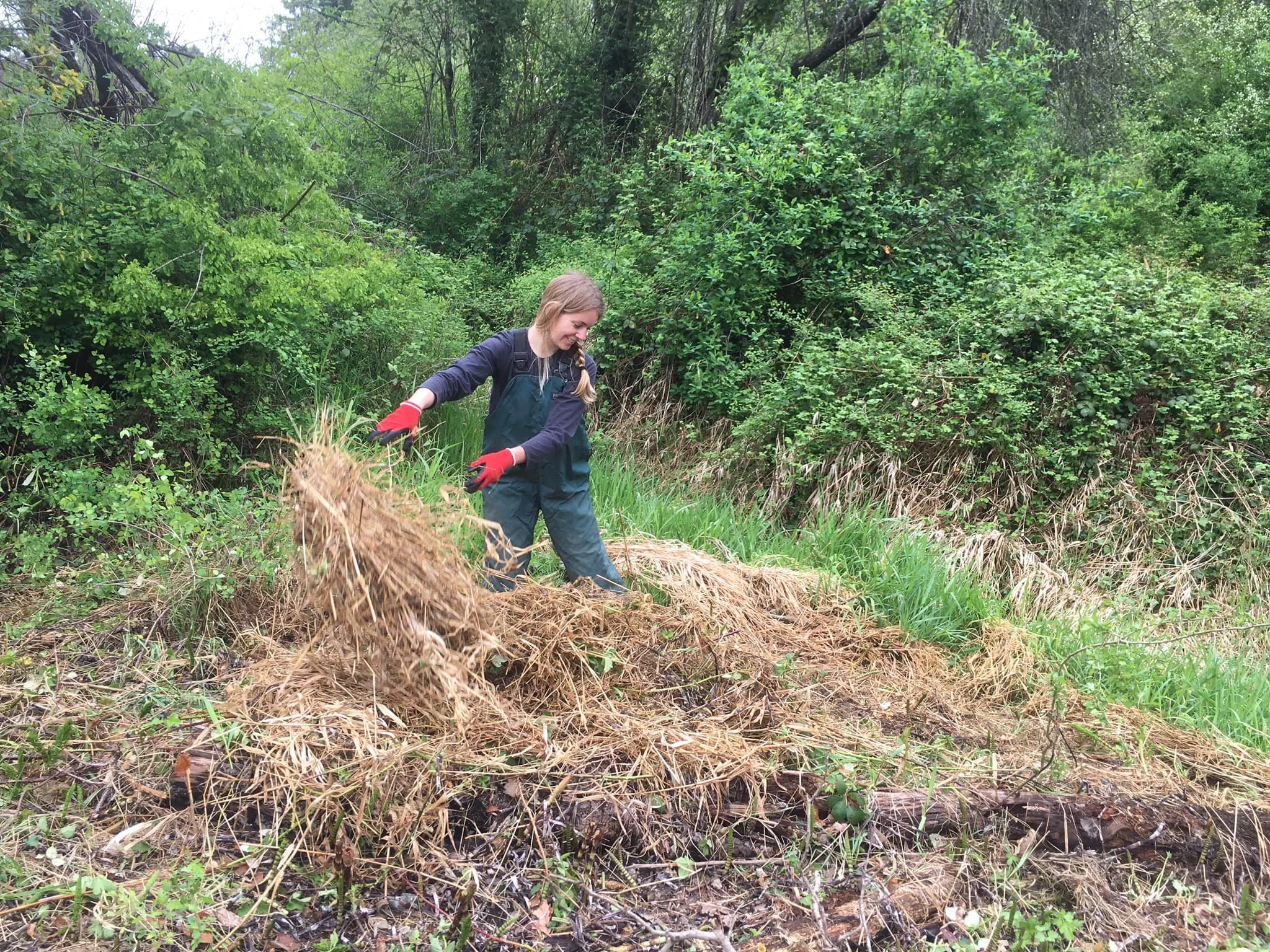 Catstream Work Party #2  Feb 28th