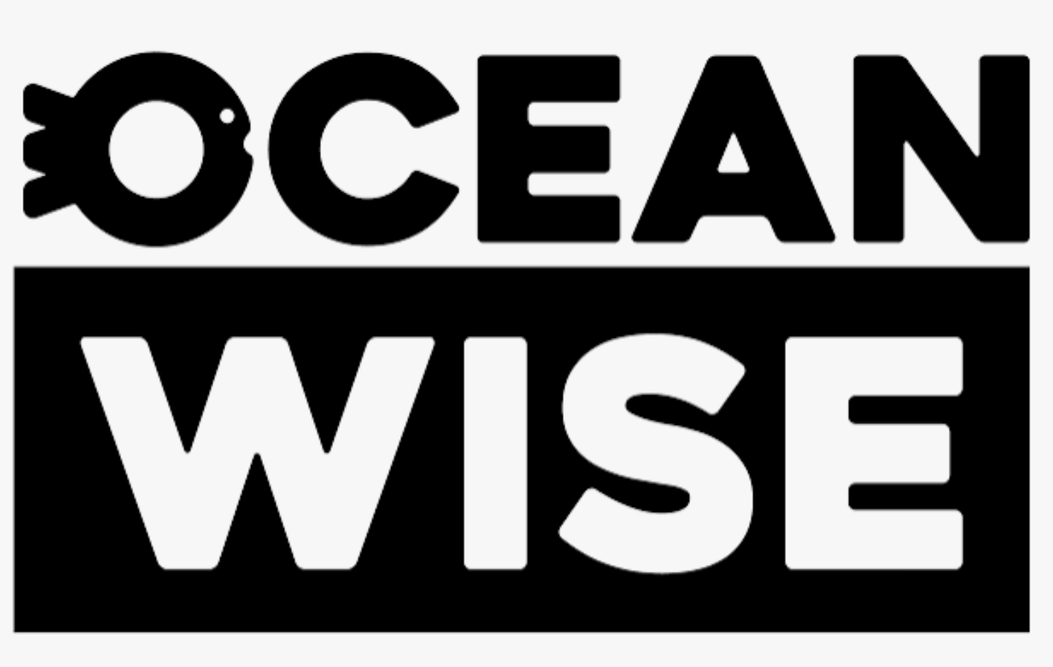 Oceanwise.png