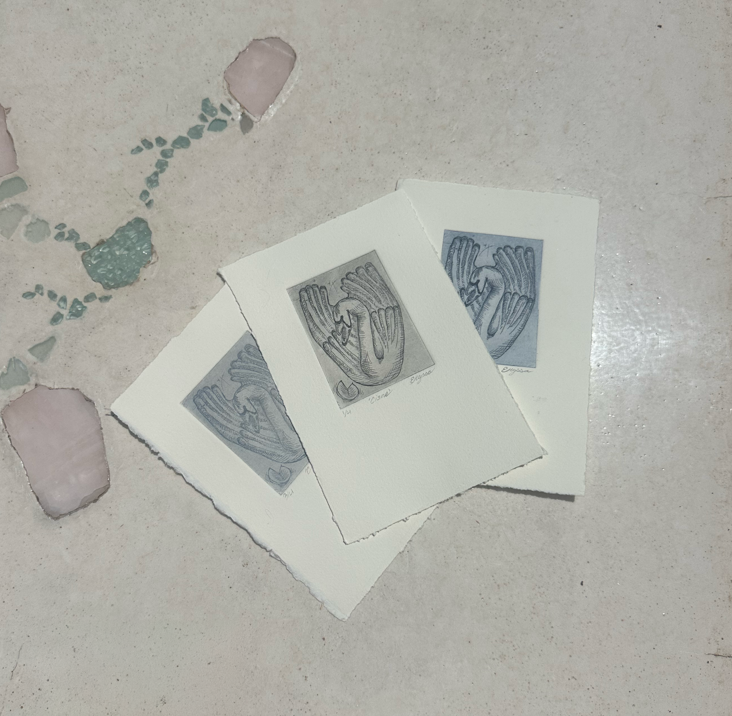 CisnePrint-Etching.png