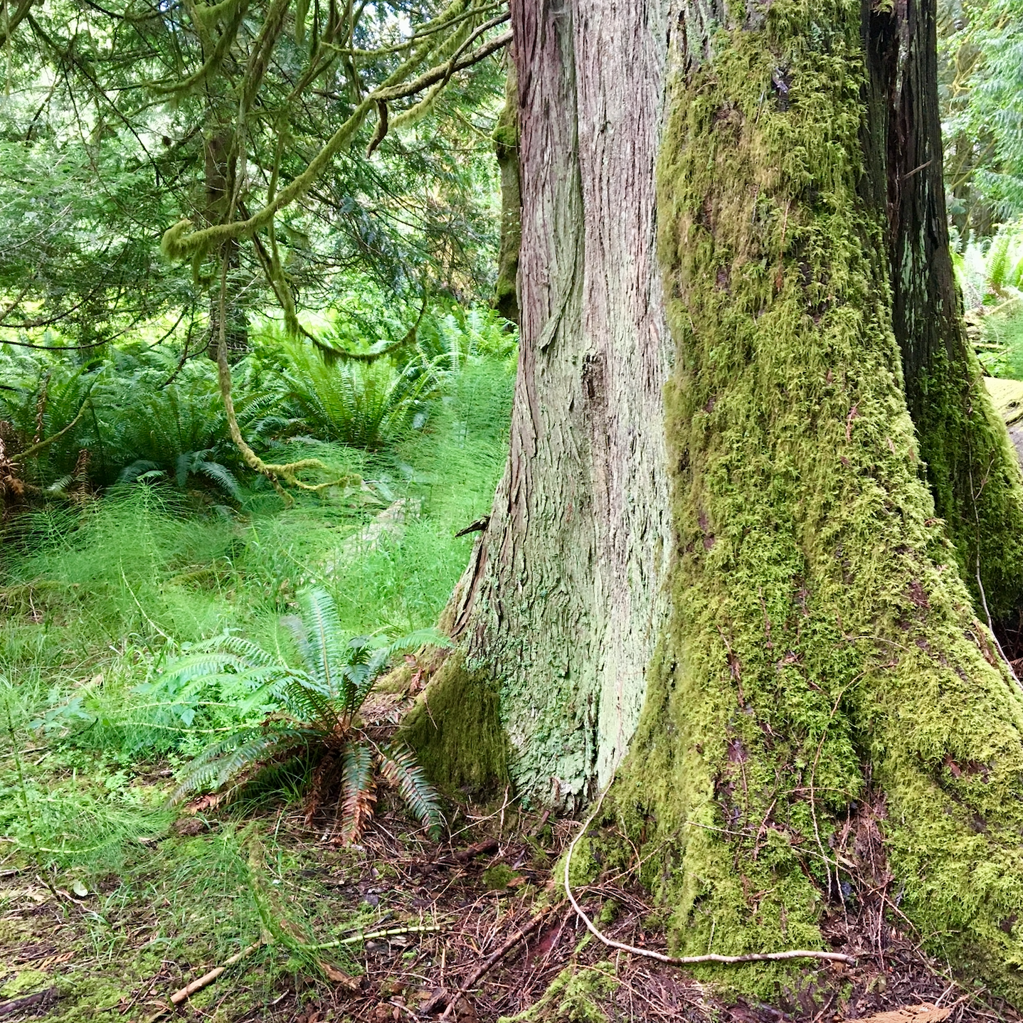 Screenshot 2024-02-28 at 13.50.51.png