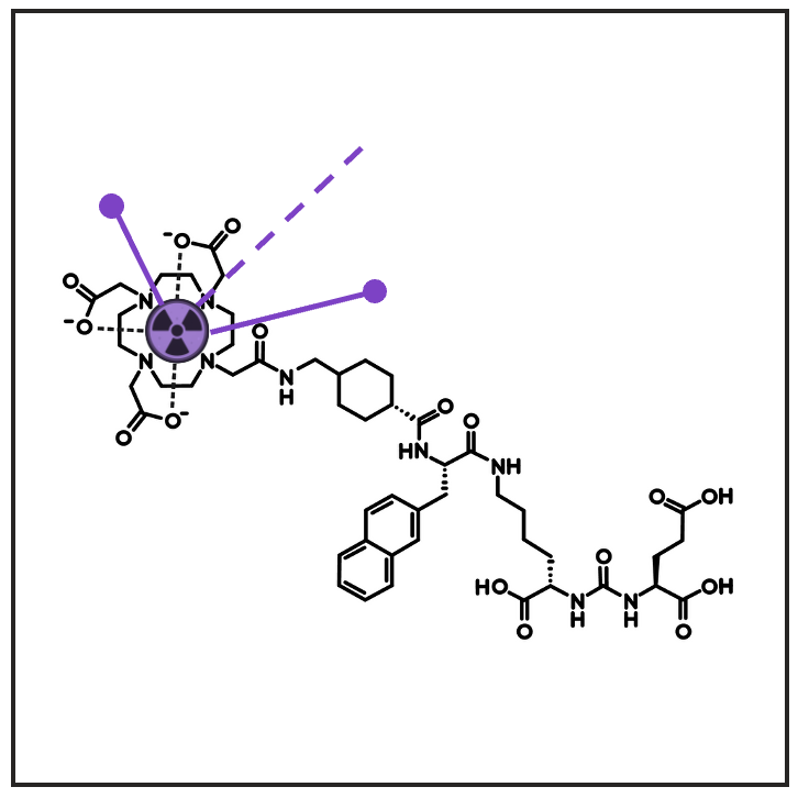 PSMA tracers for cancer therapy