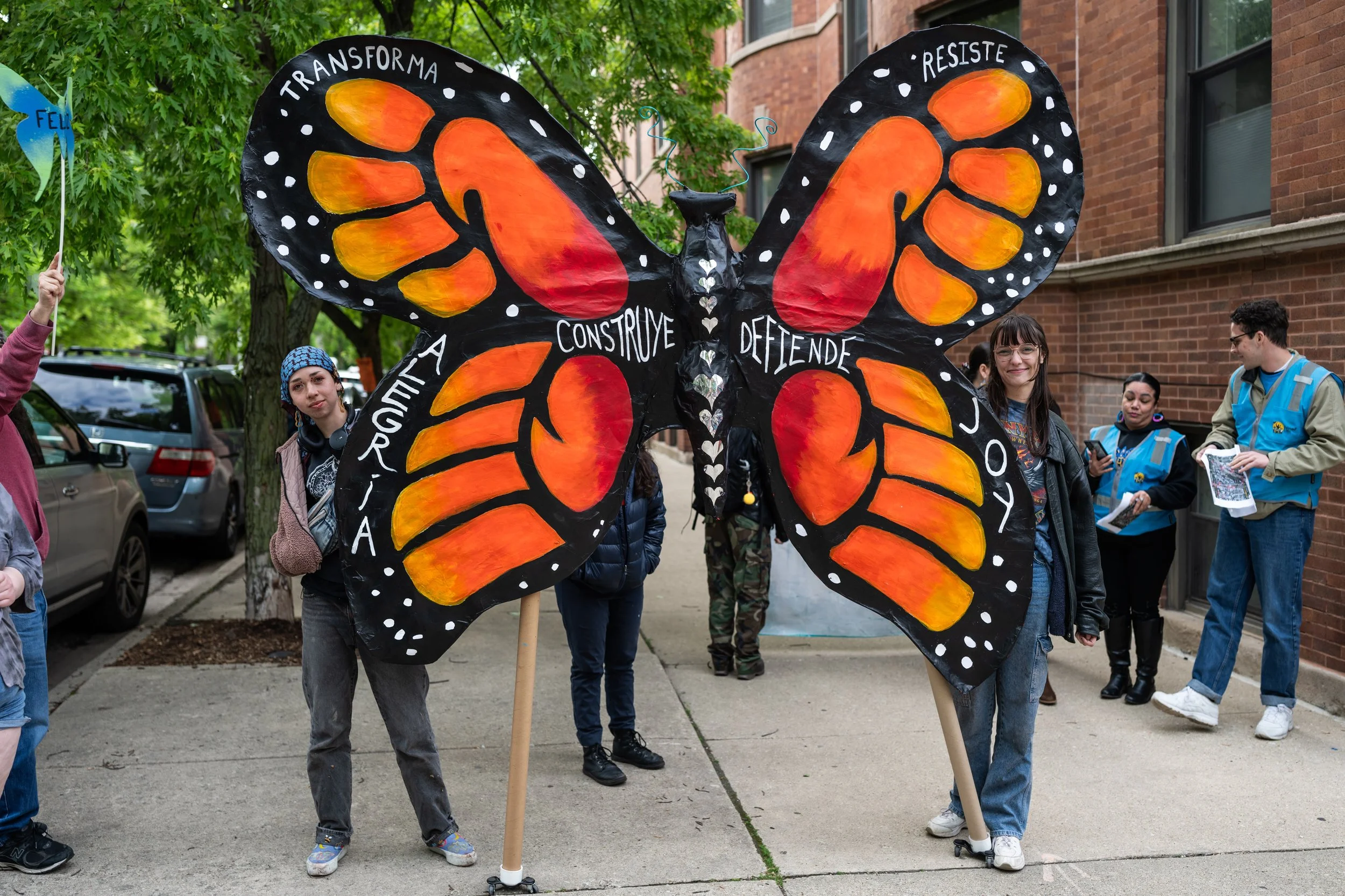 PLSNA butterfly.jpeg