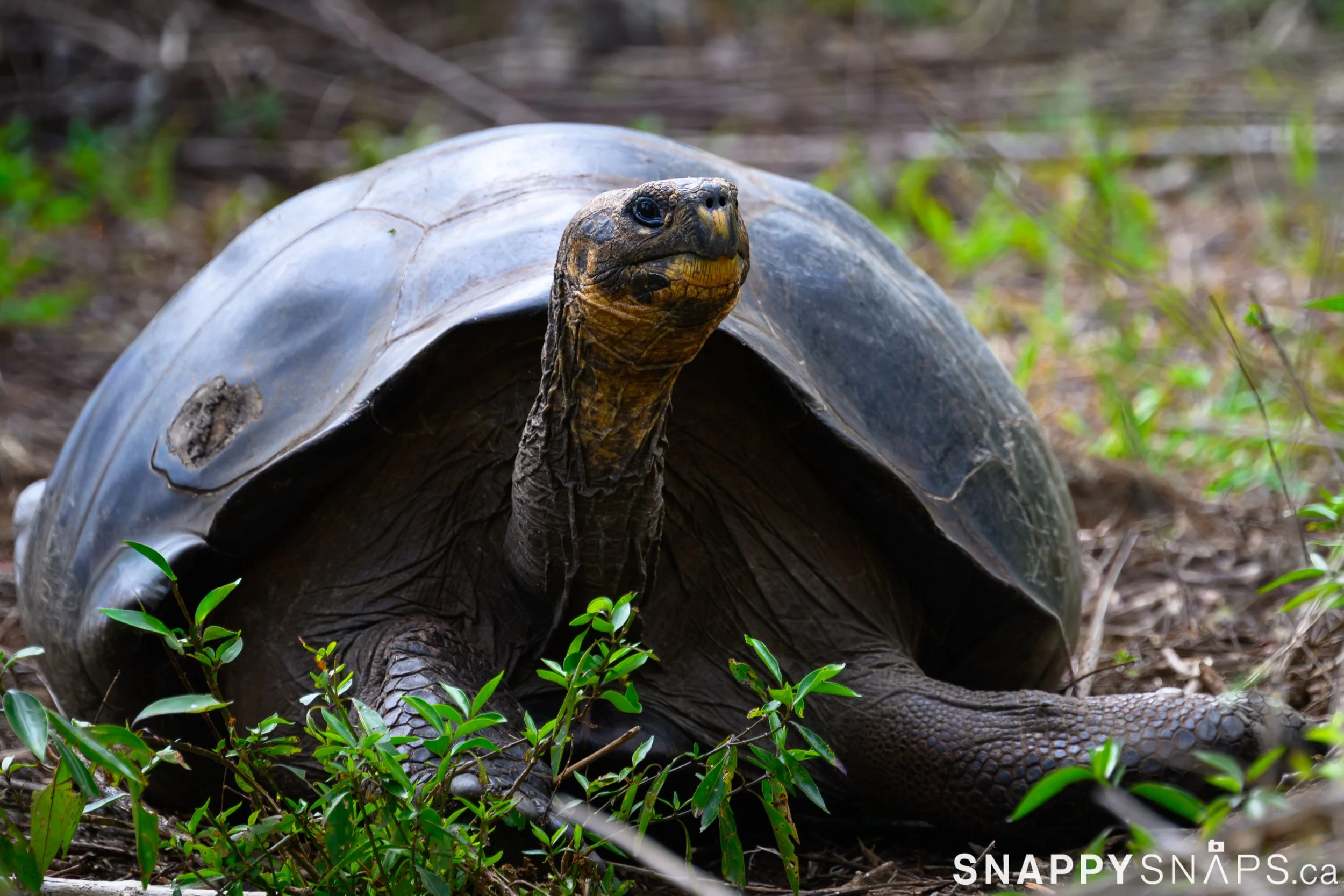 San Cristóbal Day 1
