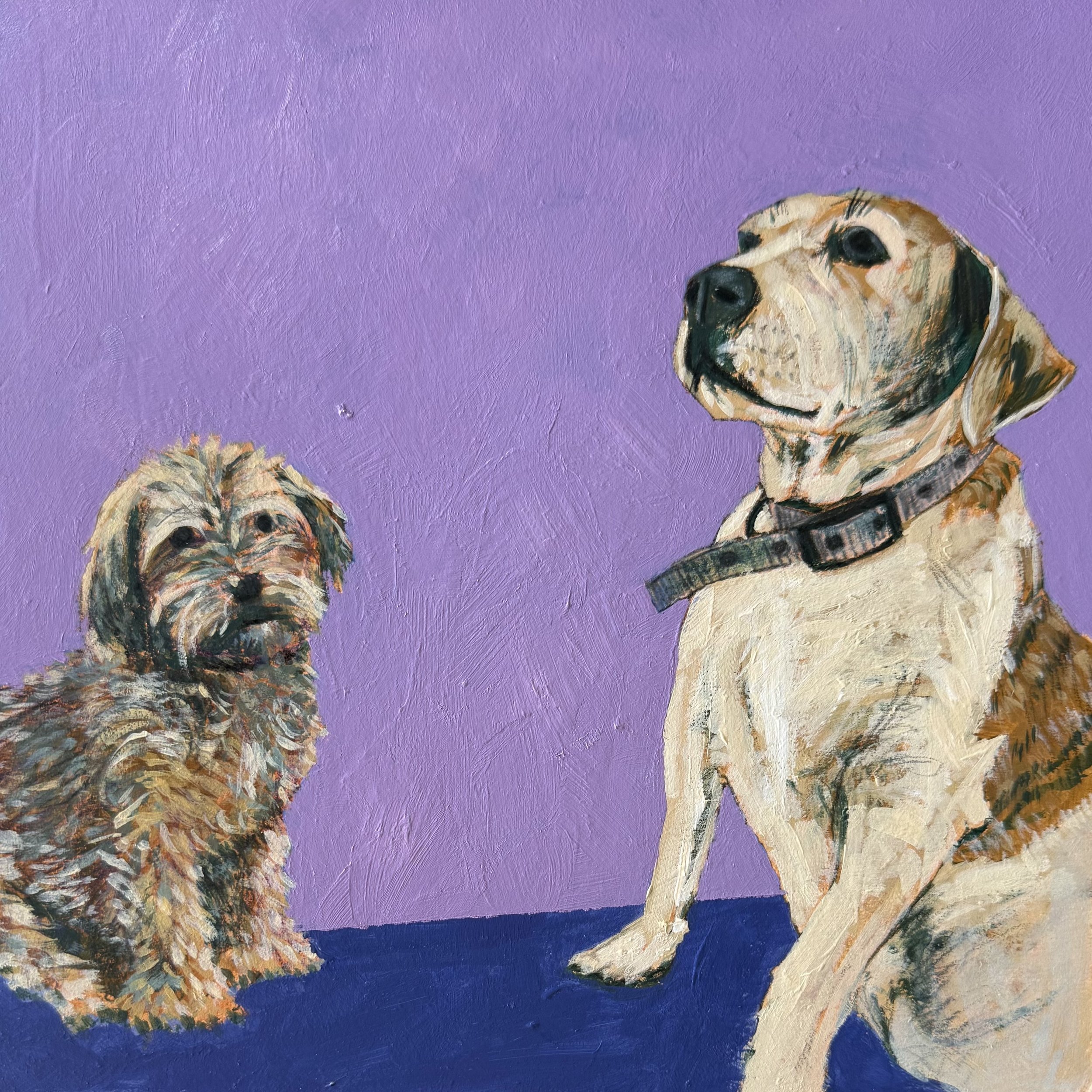 Auggie and Riley - 8" x 8", Acrylic on Panel