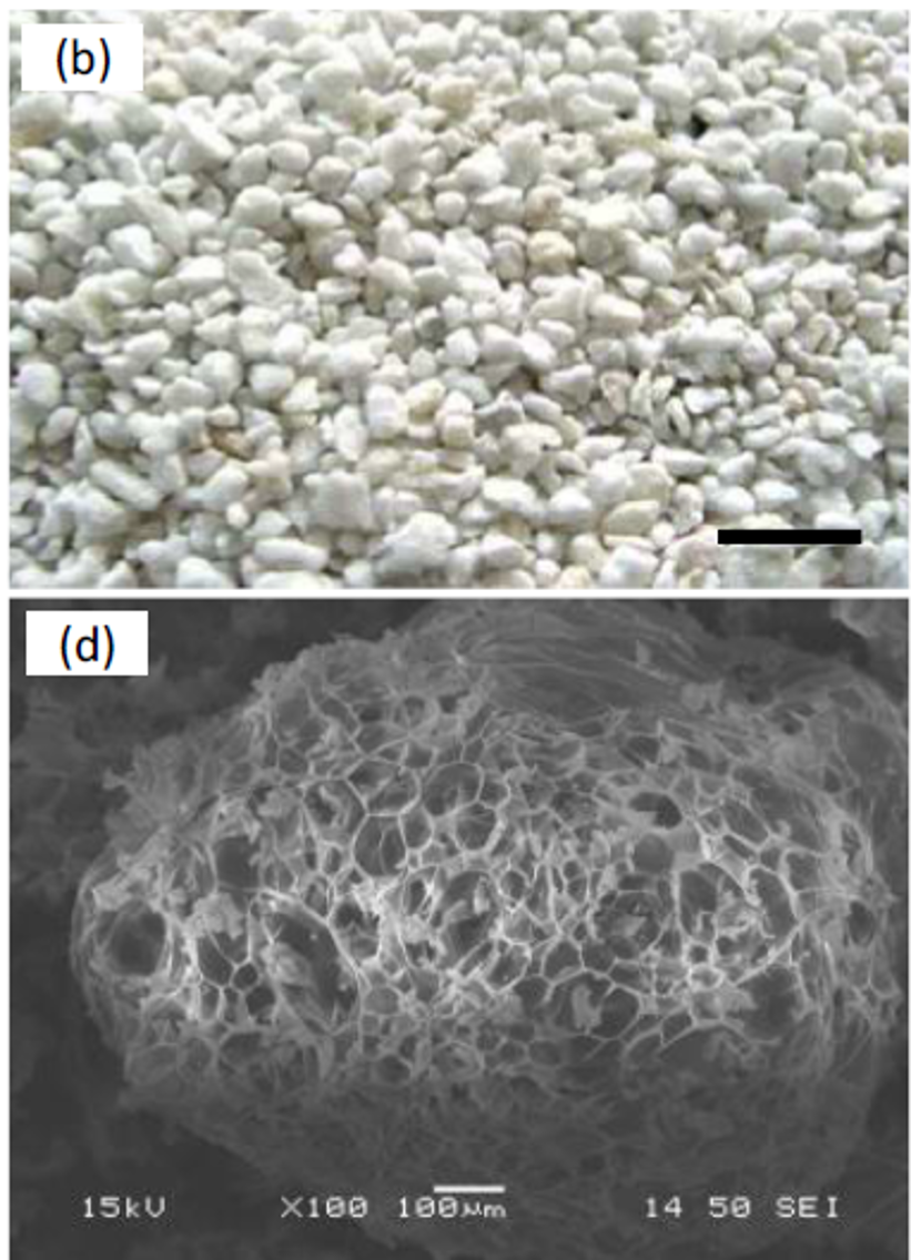 Photos Source: Angelopoulos, P.M. (2024). Insights in the Physicochemical and Mechanical Properties and Characterization Methodology of Perlites. Minerals, 14, 113. Retrieved February 13, 2025, from https://doi.org/10.3390/ min14010113