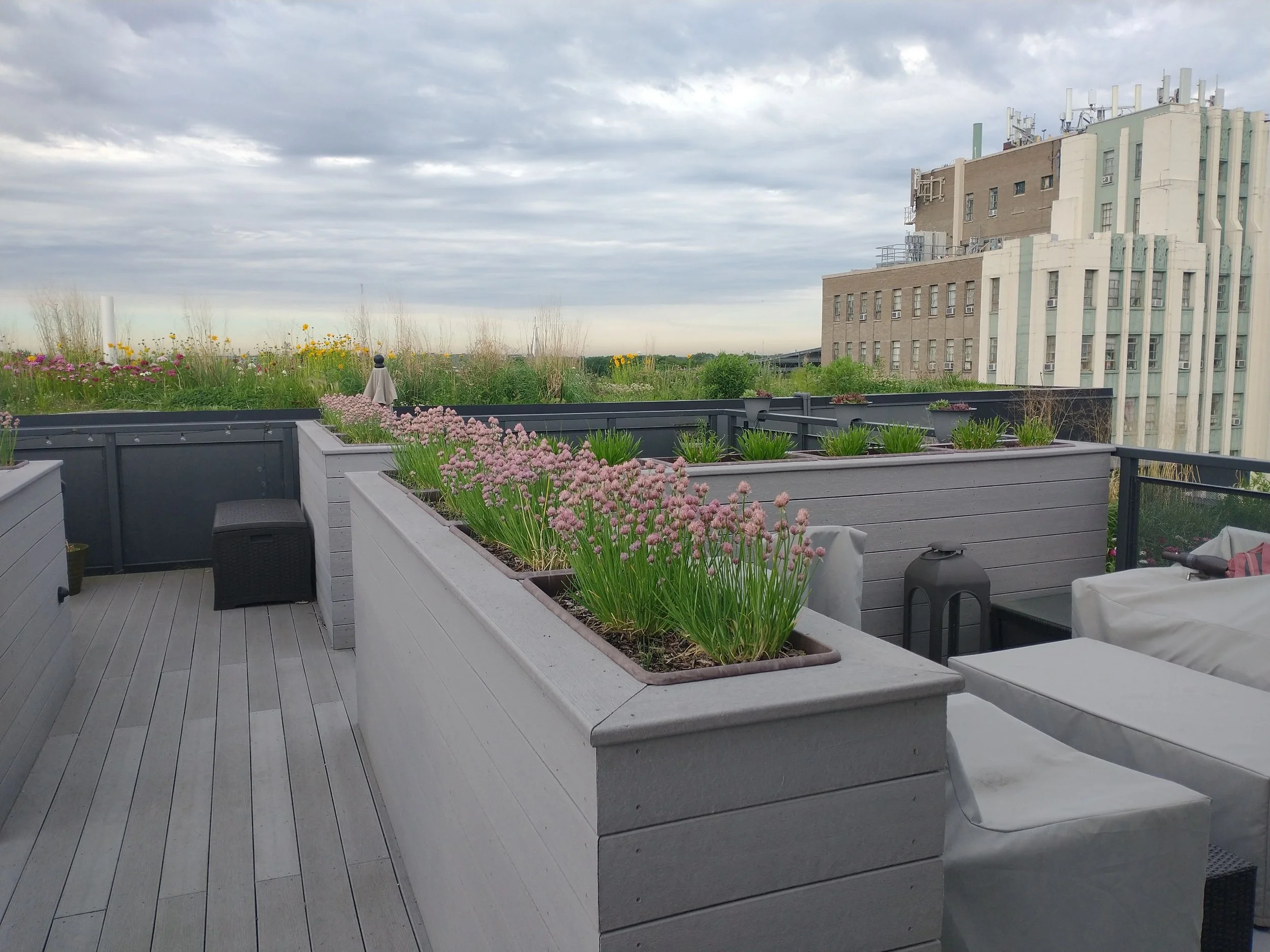 Trex planter with inserts - District House.jpg