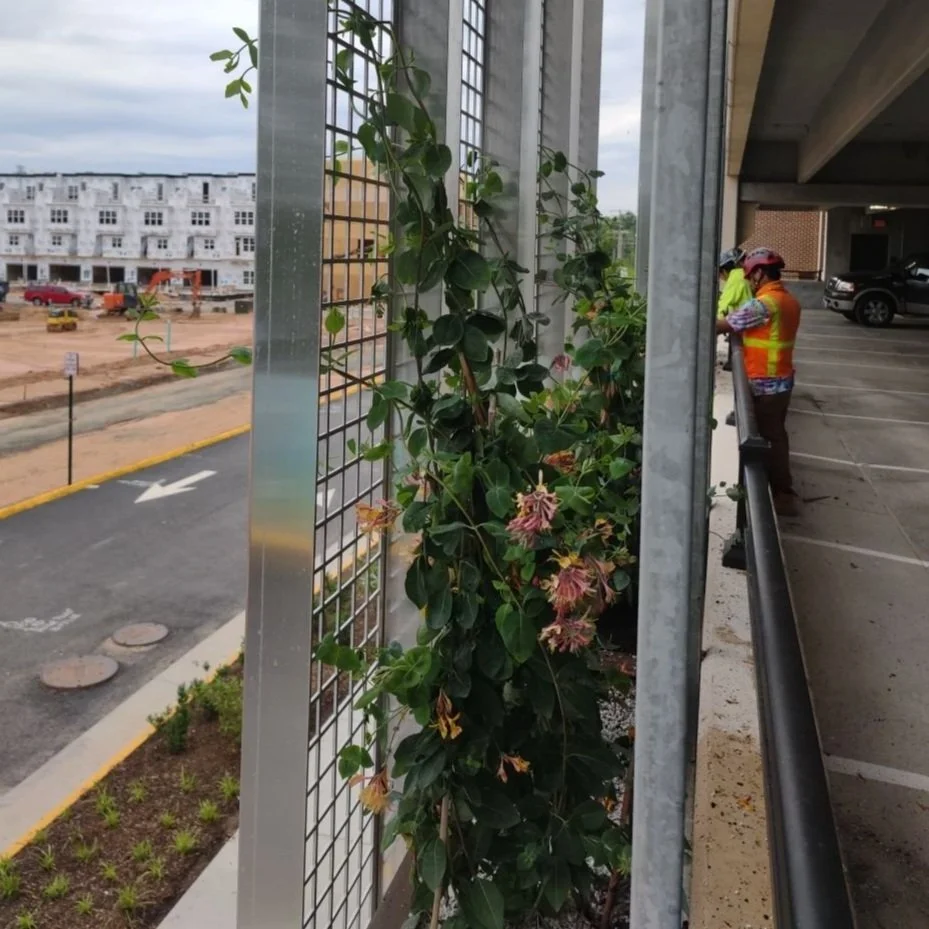 Unistrut facade(1) - Faraday.jpg