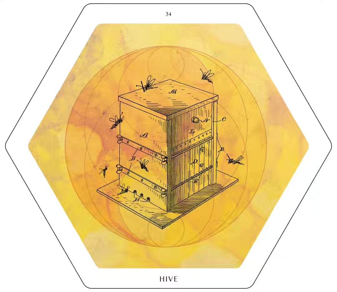 🌼🐝🌼 Lesson from the Hive 🐝🌼🐝

The Hive card celebrates the essence of unity and teamwork, symbolizing how working together harmoniously can lead to extraordinary achievements. The Hive card is a beautiful reminder of the power of community and 