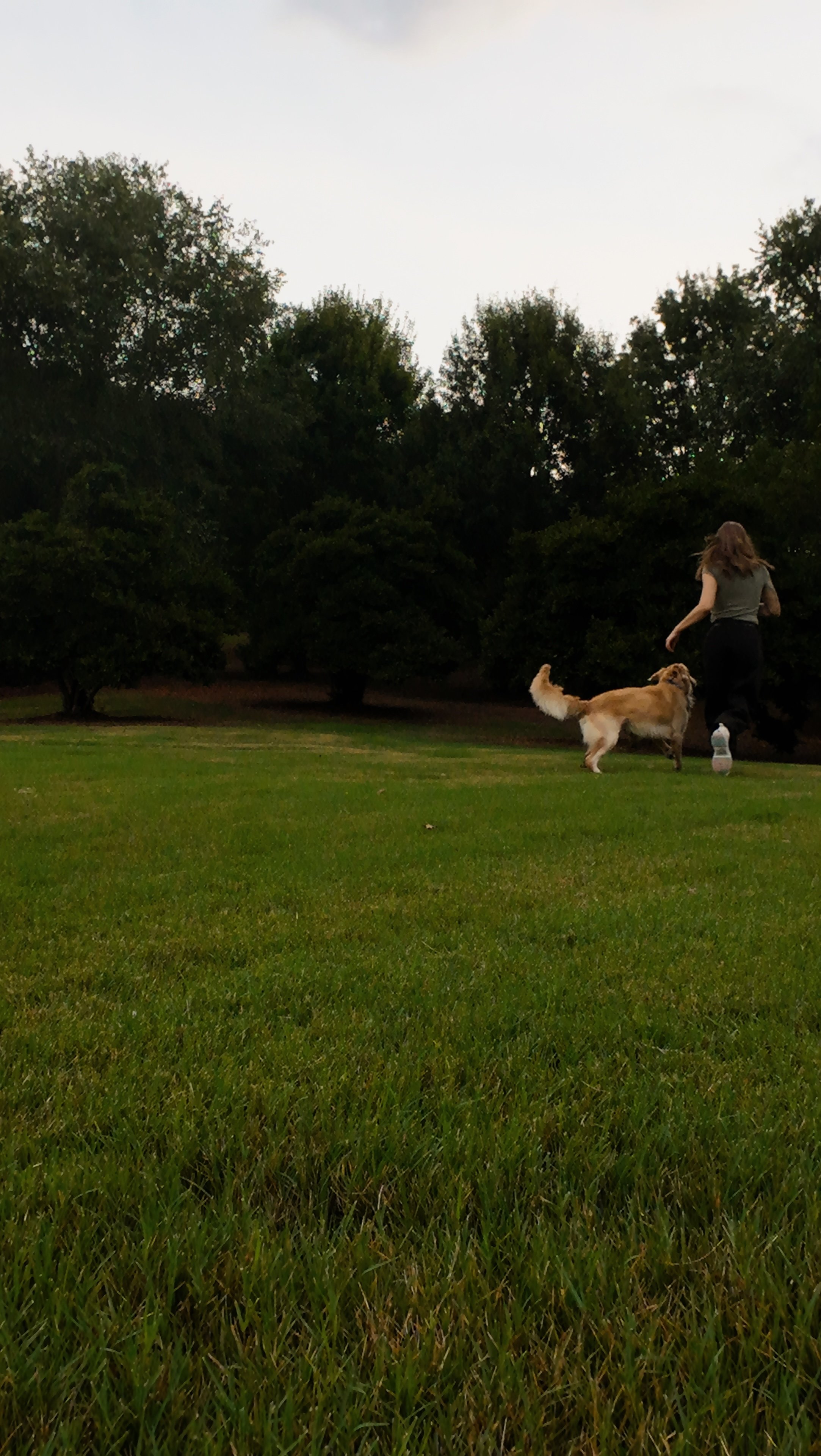 Trails and tails