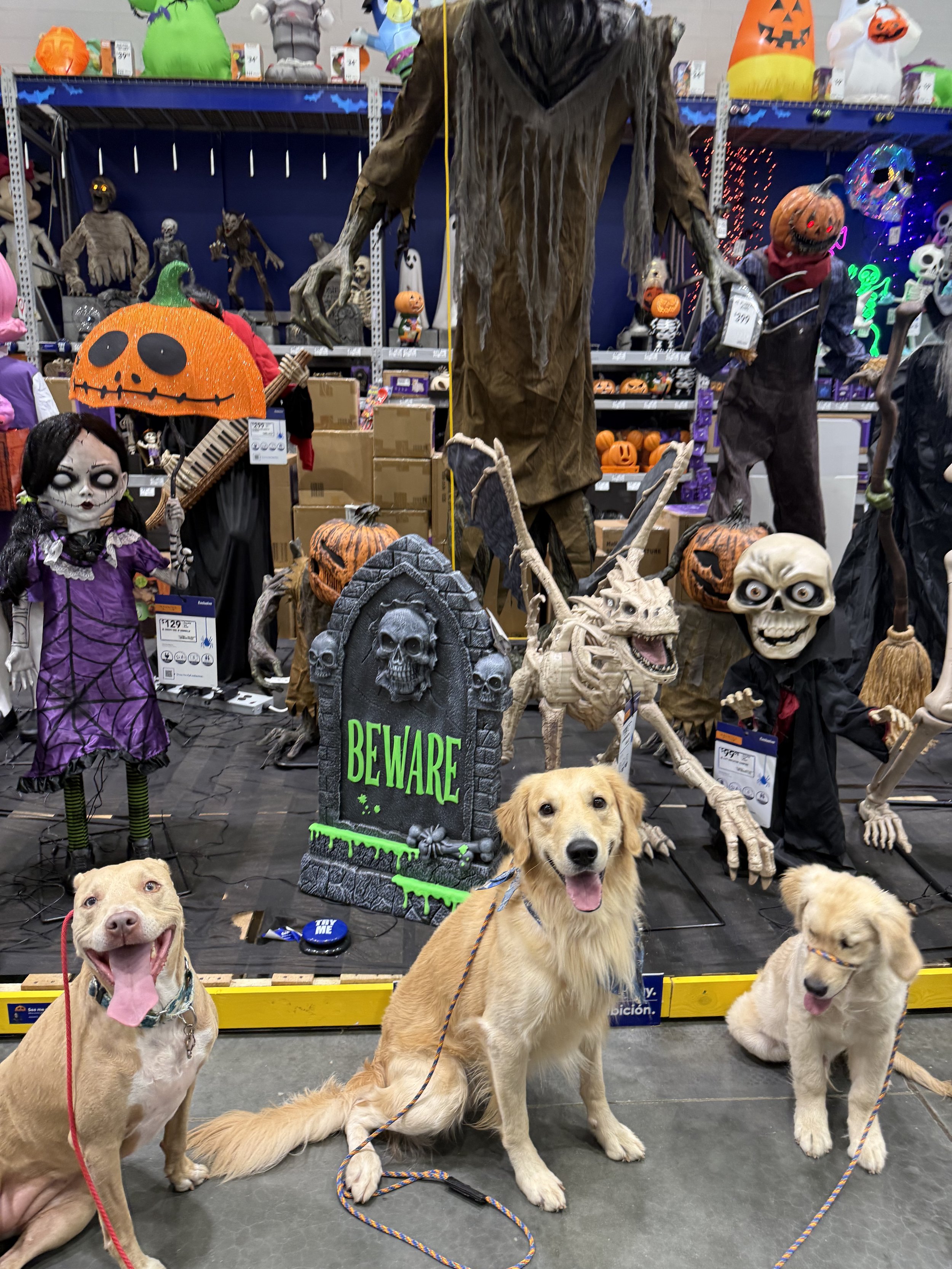 Ghouly group class