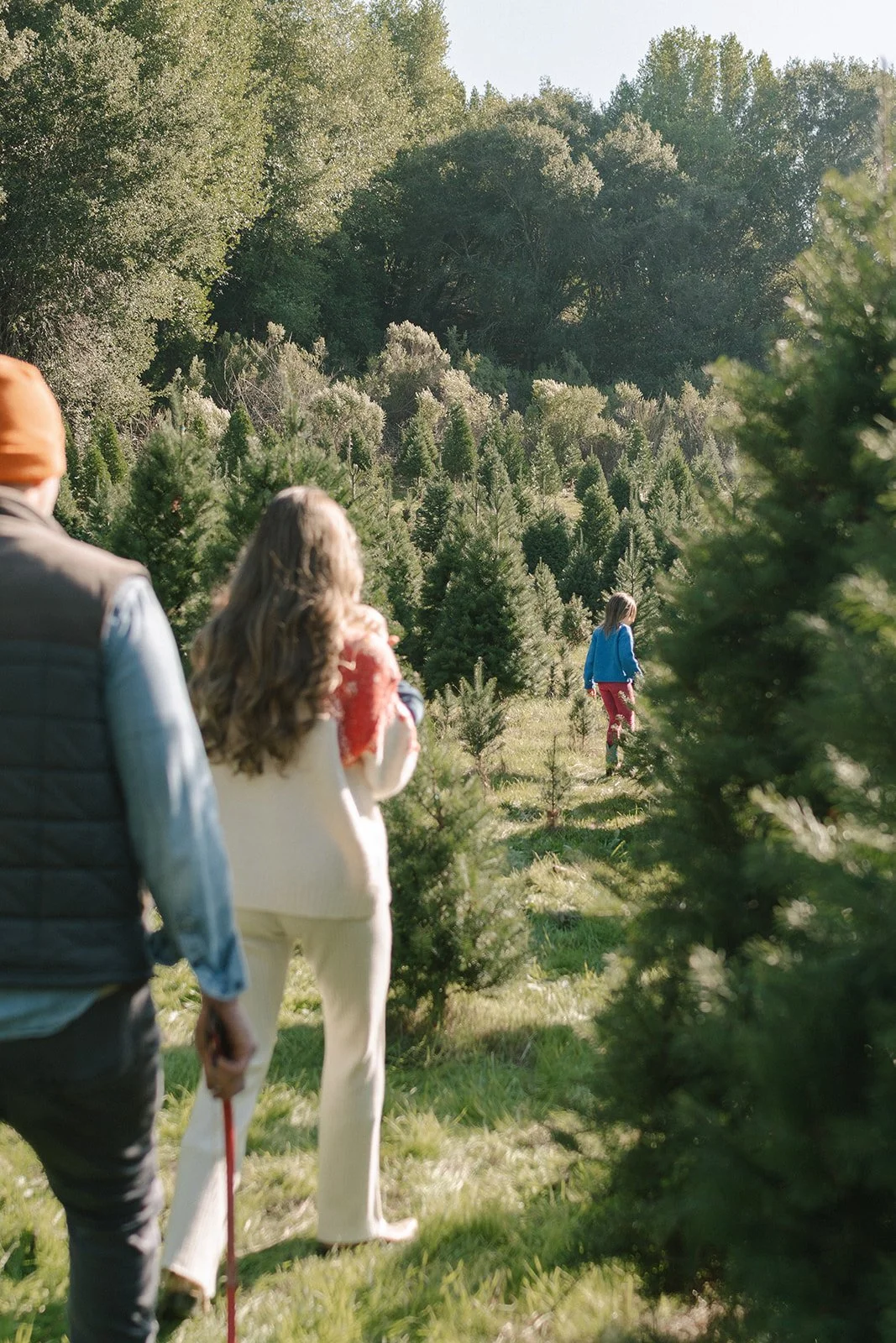 Castro Valley Christmas Tree Farm Family Photoshoot