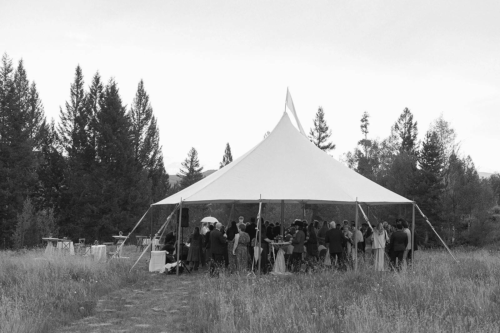 A large outdoor gathering under a white event tent in a grassy field, with trees in the background, during daytime.