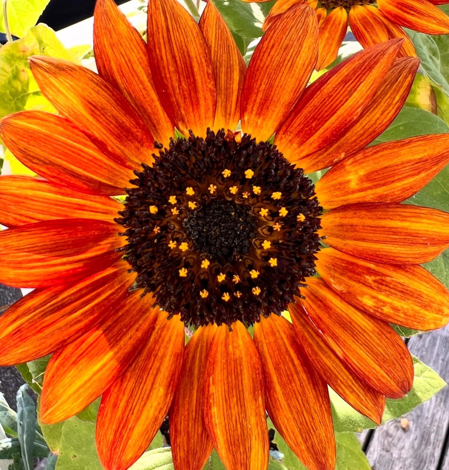 Free Class / Video Shoot at PYCC!