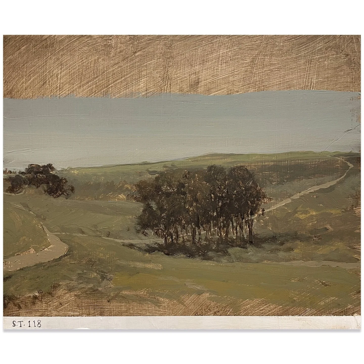 Adams Hill and Untitled currently on show @mcrartgallery 
Image 1: Adams Hill, Acrylic and gouache on wooden panel 20x25.5cm 
Image 2: Untitled, Acrylic and gouache on wooden panel 20x25.5cm 
Image 3,4,5: Instillation shot (Manchester Art Gallery : R