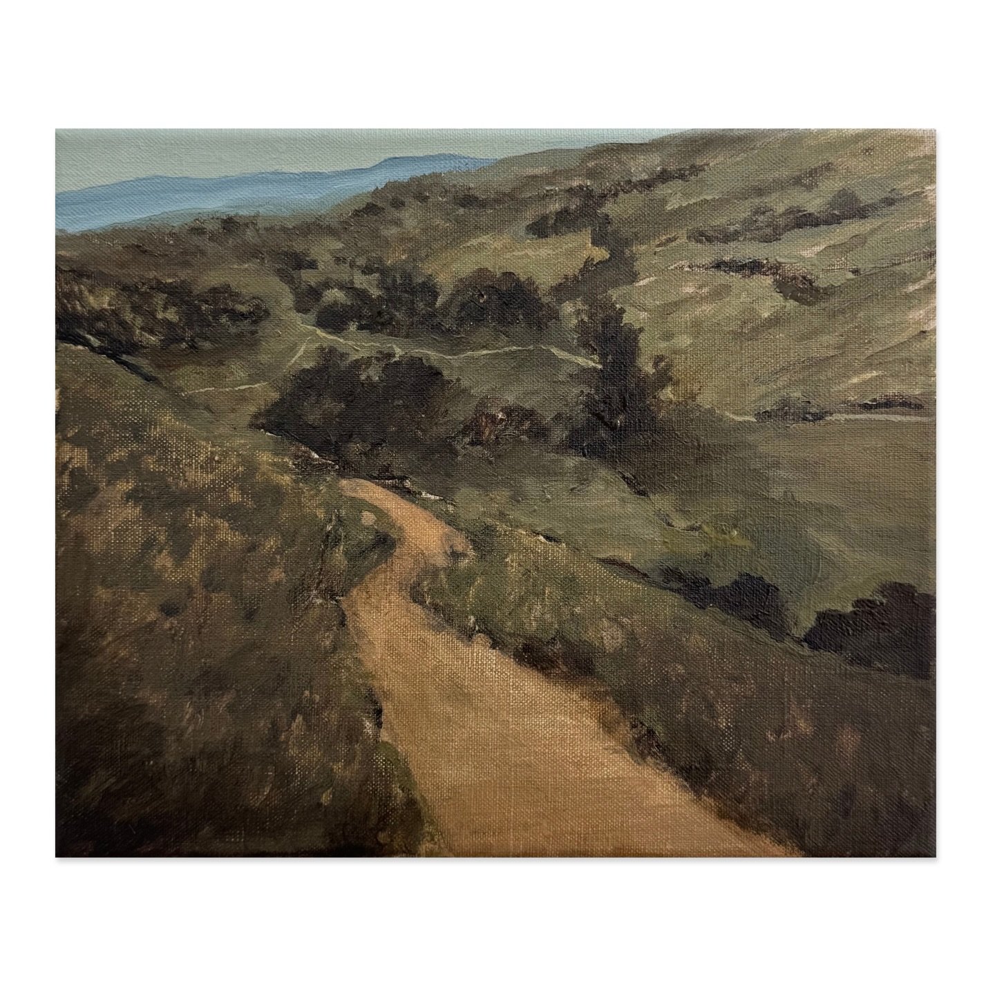 25.5x30.5cm 
Acrylic and gouache on linen 
Untitled (Walton hills from Gapelter)