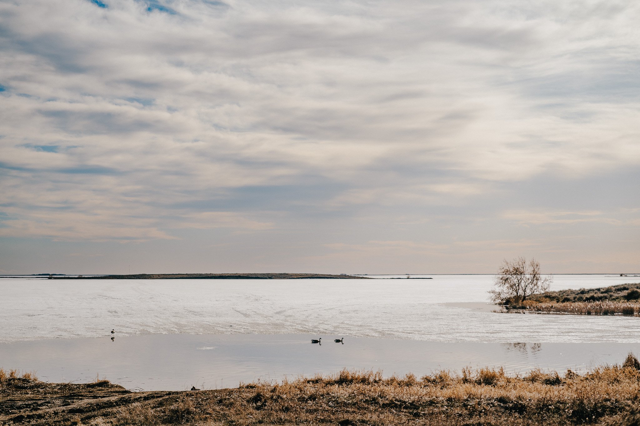 Rowan + Coltan’s Playful Sunset Engagement Session at Lake Newell near Brooks, Alberta-240414-001.jpg