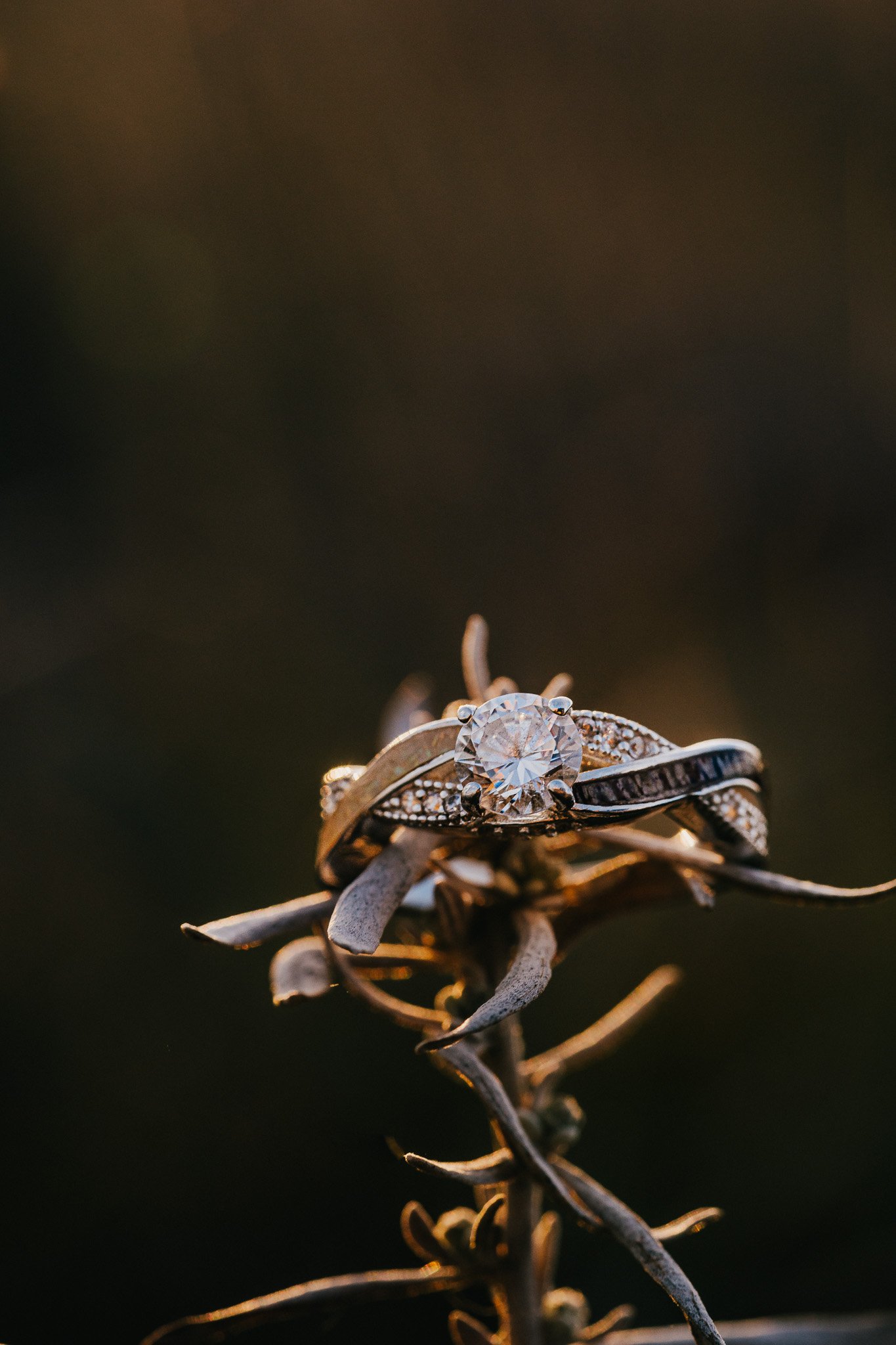 Rowan + Coltan’s Playful Sunset Engagement Session at Lake Newell near Brooks, Alberta-240414-070.jpg