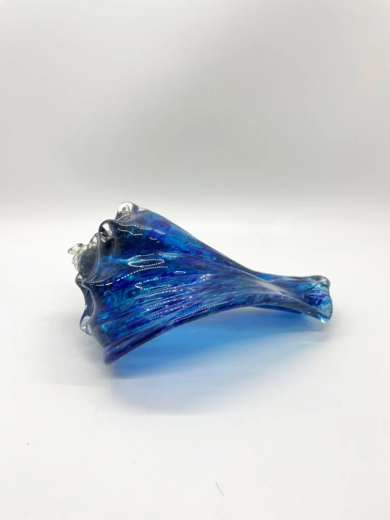 blue-shell.jpg