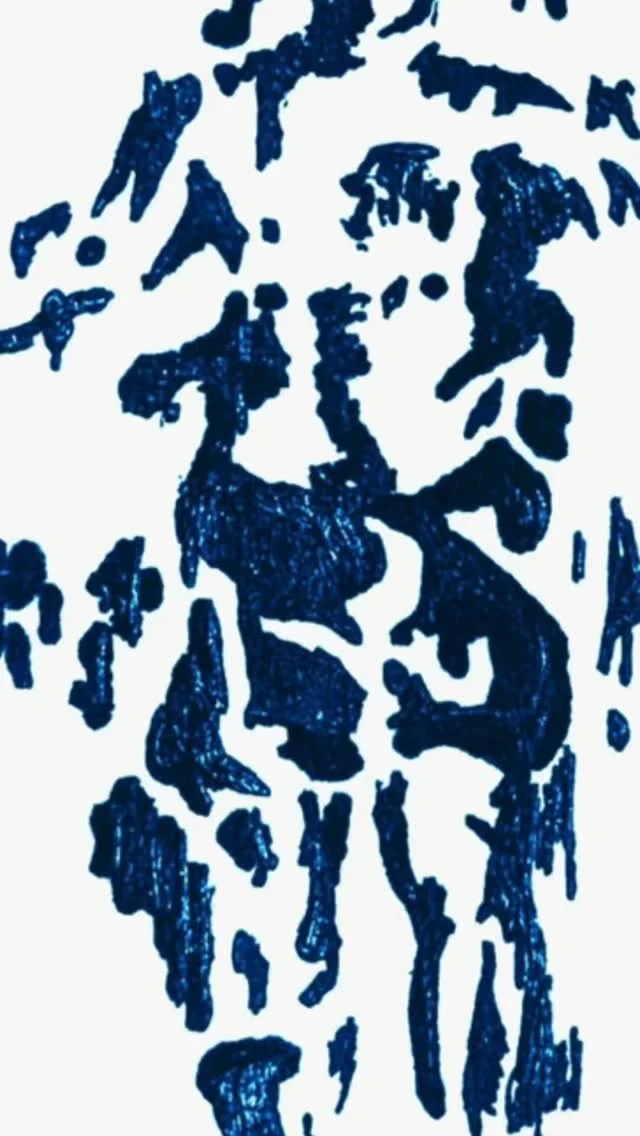 Slide 5