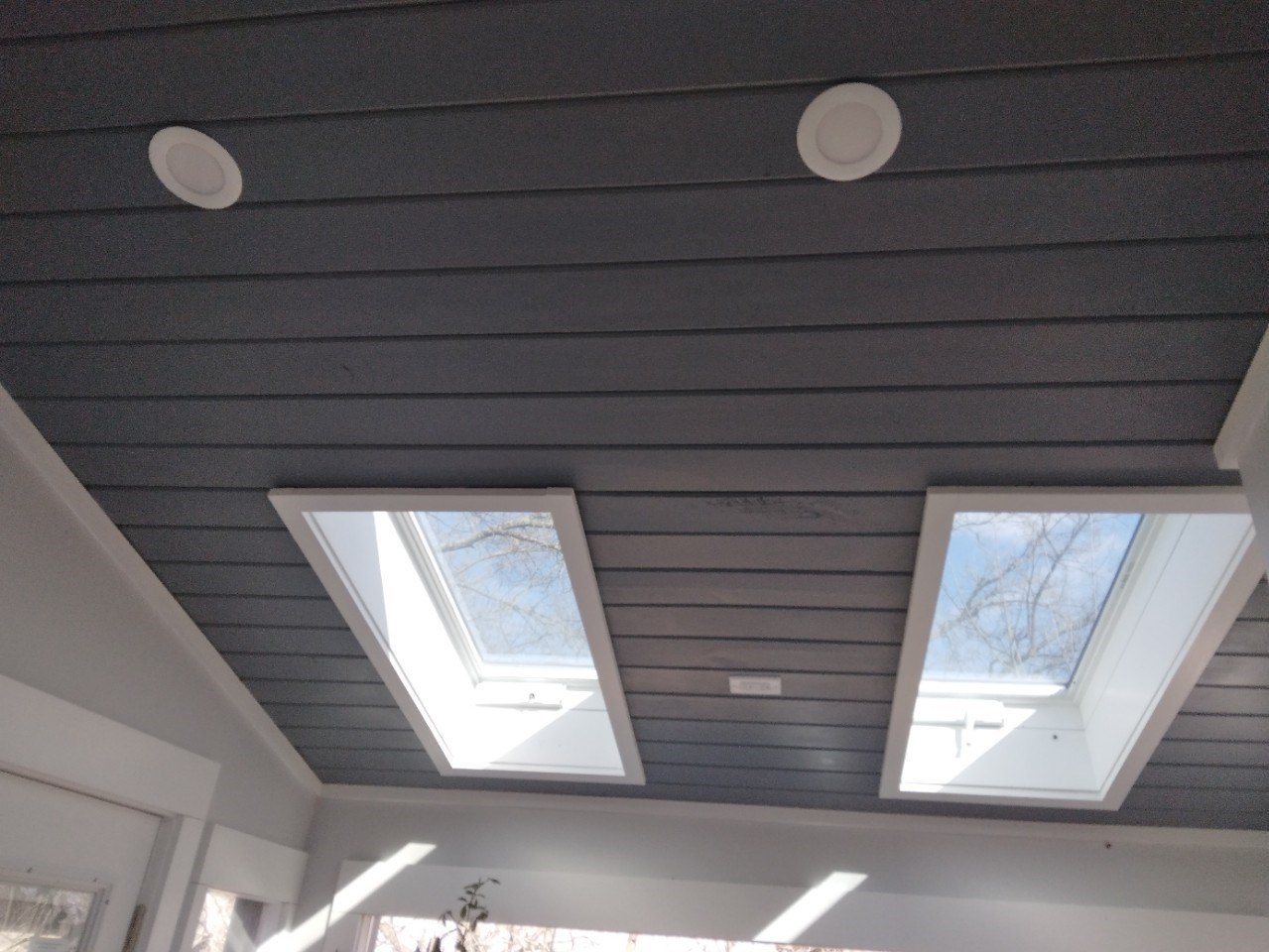 Ceiling and skylights.jpg