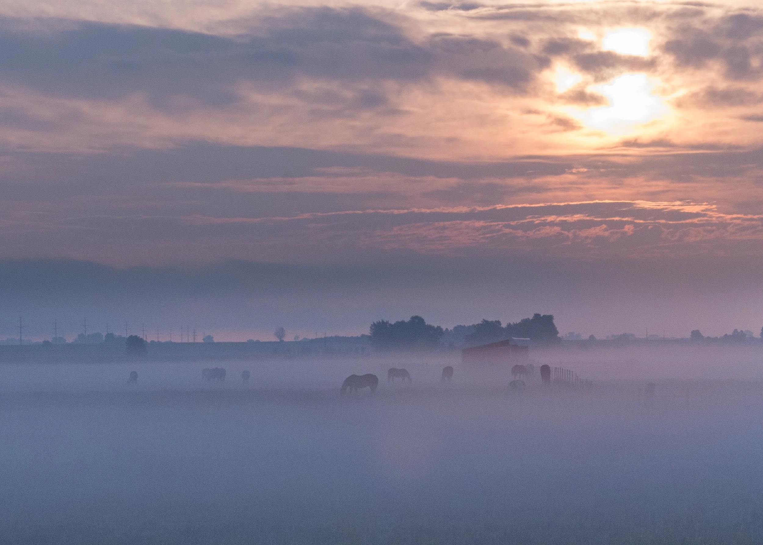Fine art landscape print of a cloudy sunrise overlooking a Colorado Front Range horse ranch with a layer of fog blanketing the land