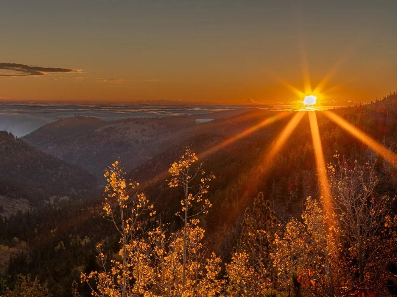 Sunrise over a bank of clouds and a mountain ridge  backlighting golden aspen leaves taken from Peak to Peak highway