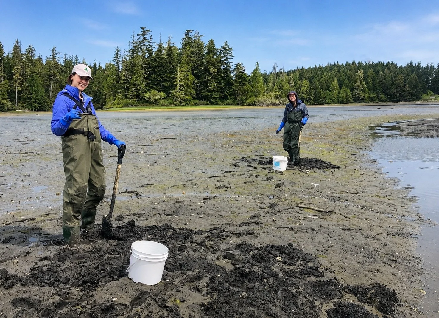 Meet the young researcher trying to stop an invasive crab from threatening Pacific marine ecosystems