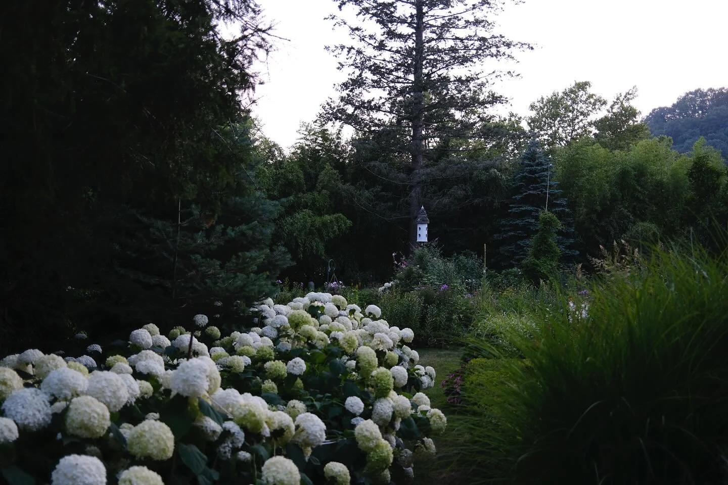If you don’t already know, the gardens and nature in Michigan hit different