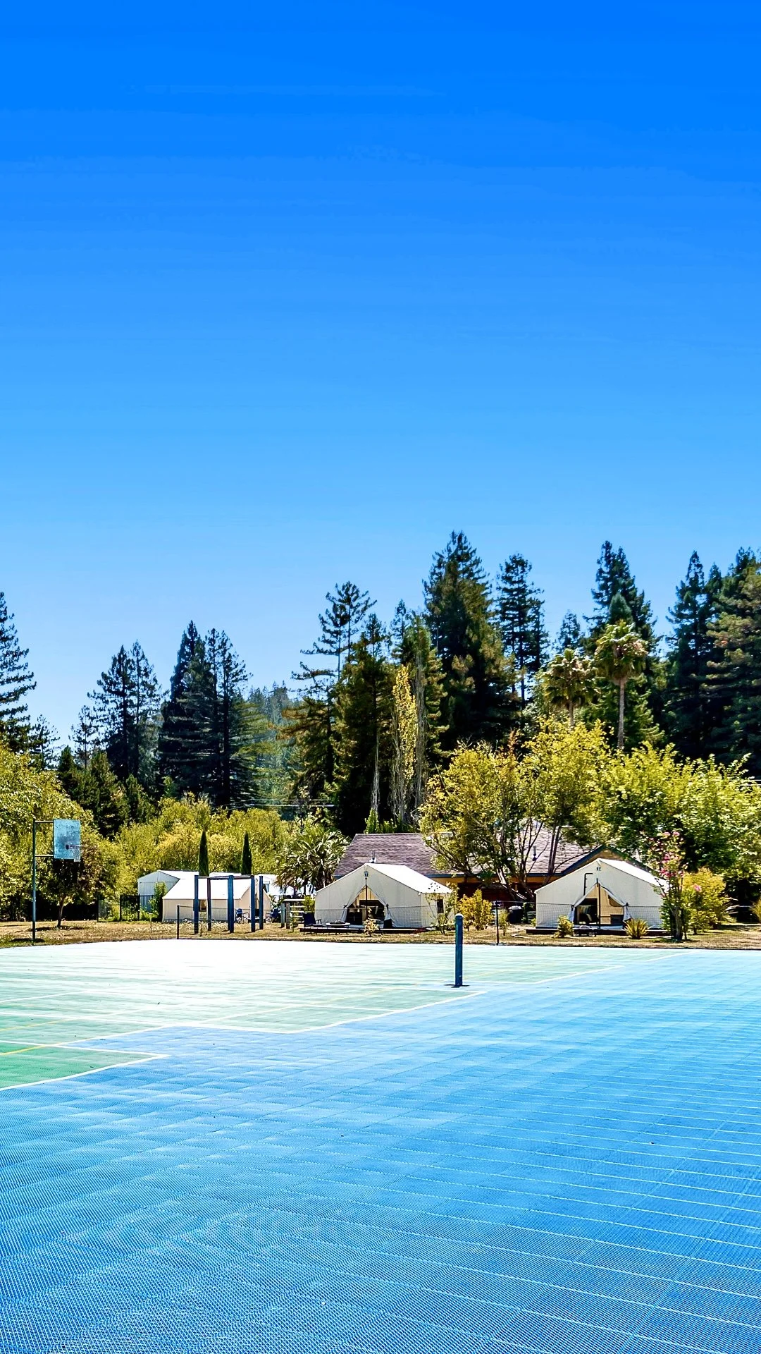 Tennis VERTICAL.jpeg