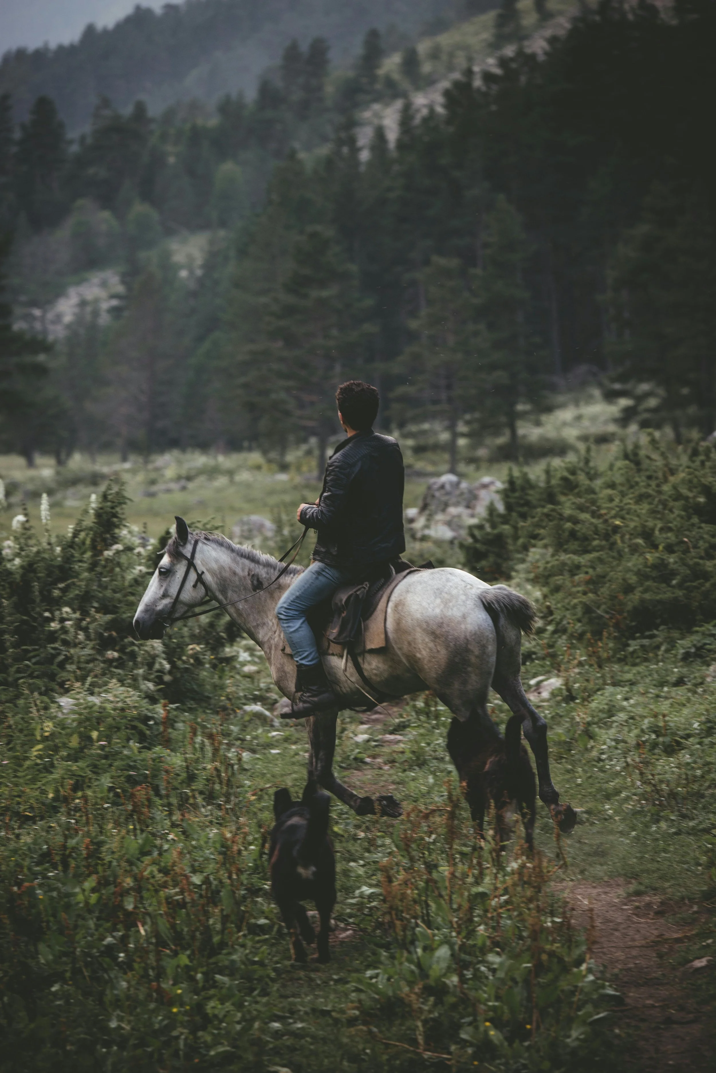 A man riding a gray horse through a green forested mountainous area with two black dogs walking alongside.