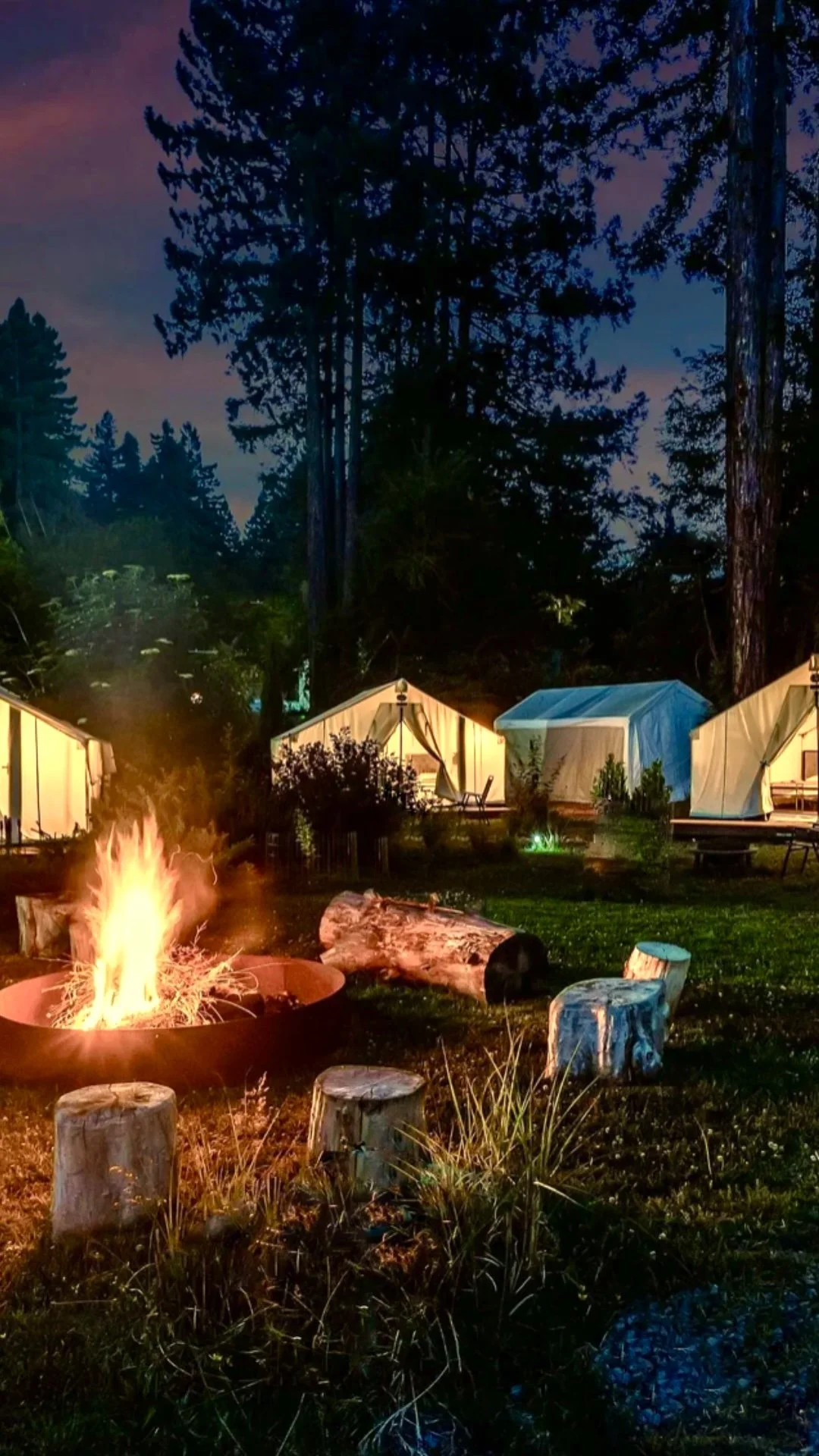 Bon Fire VERTICAL.jpeg